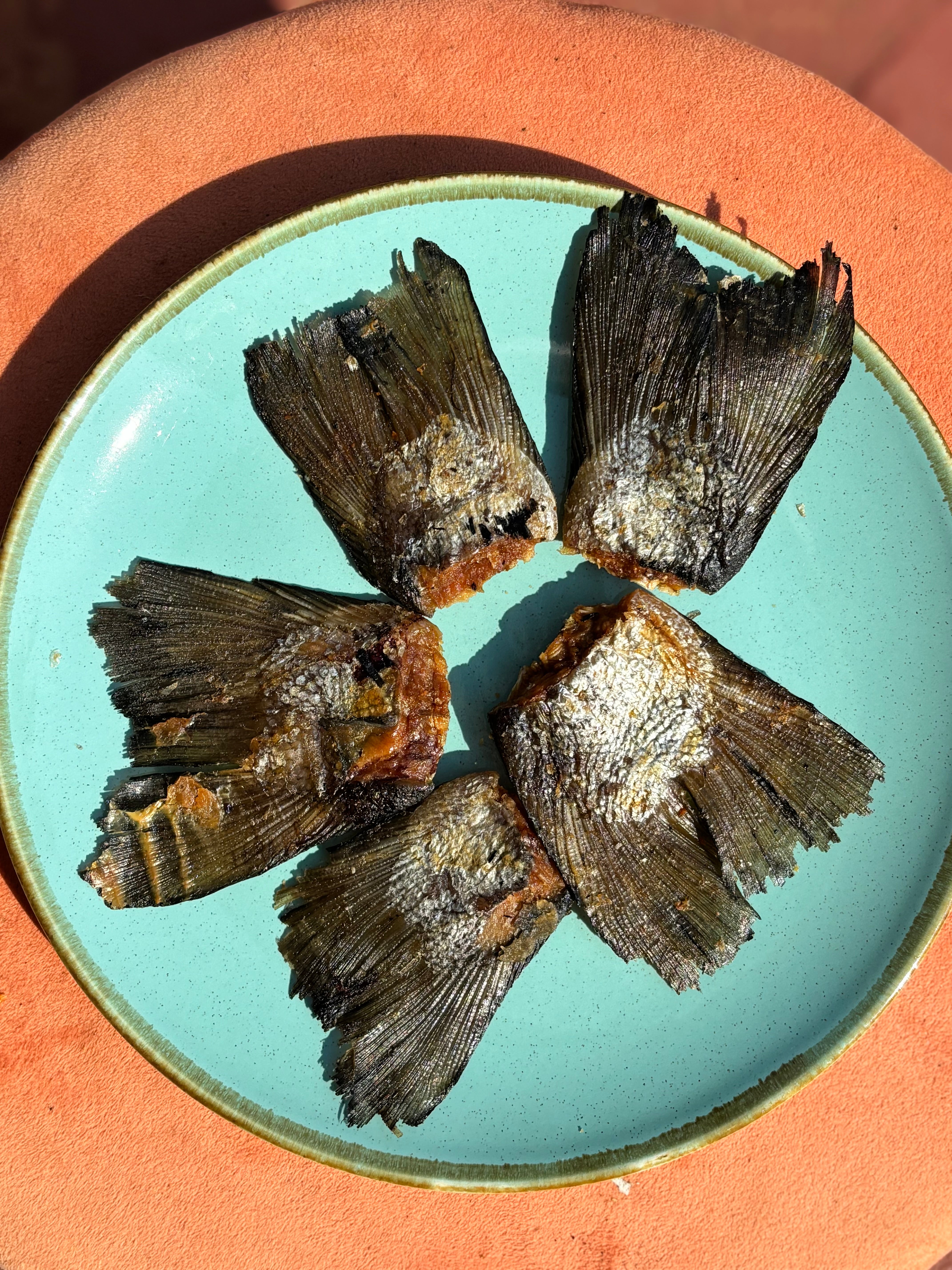 Norwegian Salmon Tailfins