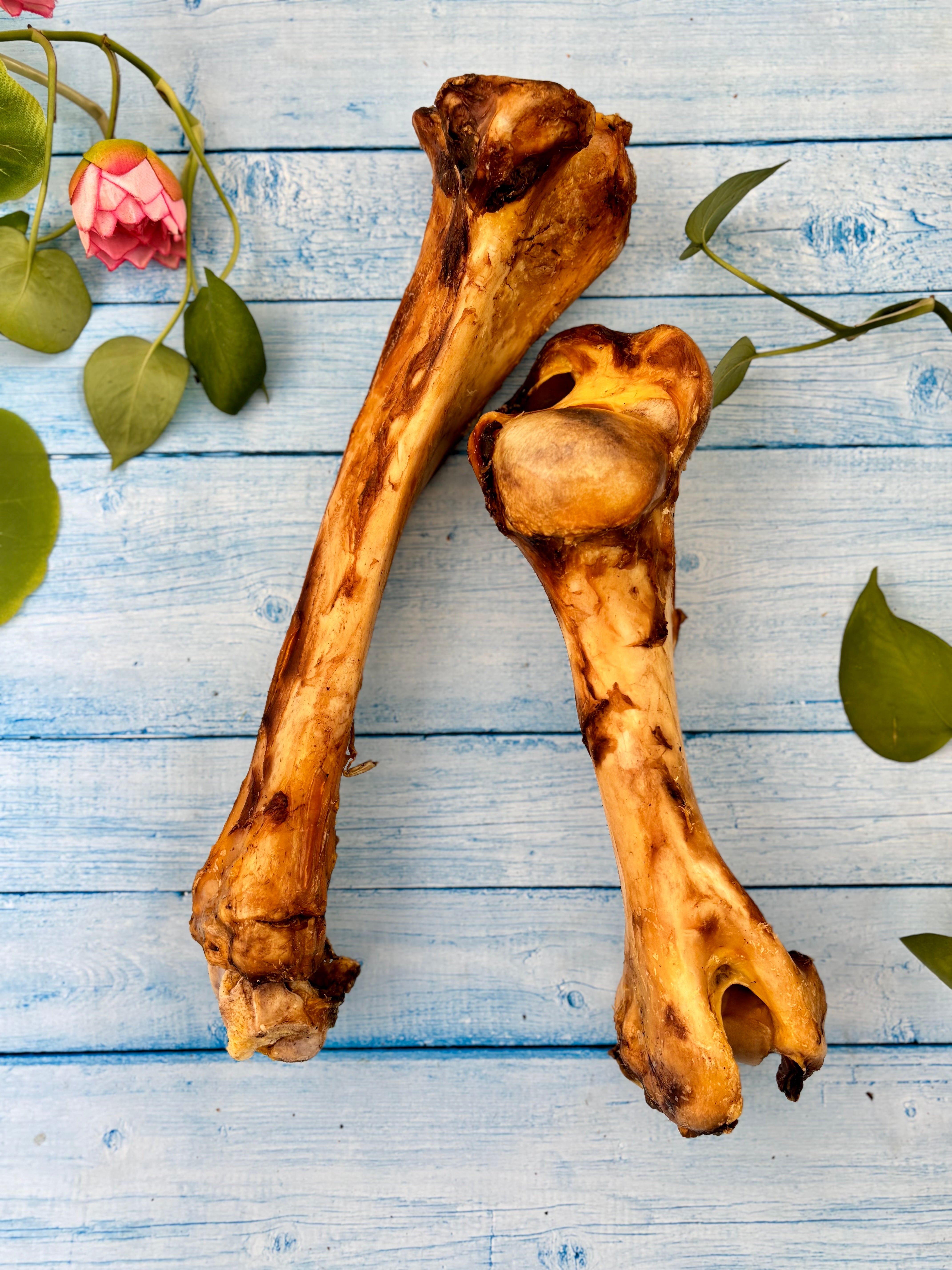 Beef Jumbo Bones - Megasize Chewbone - SPECIAL