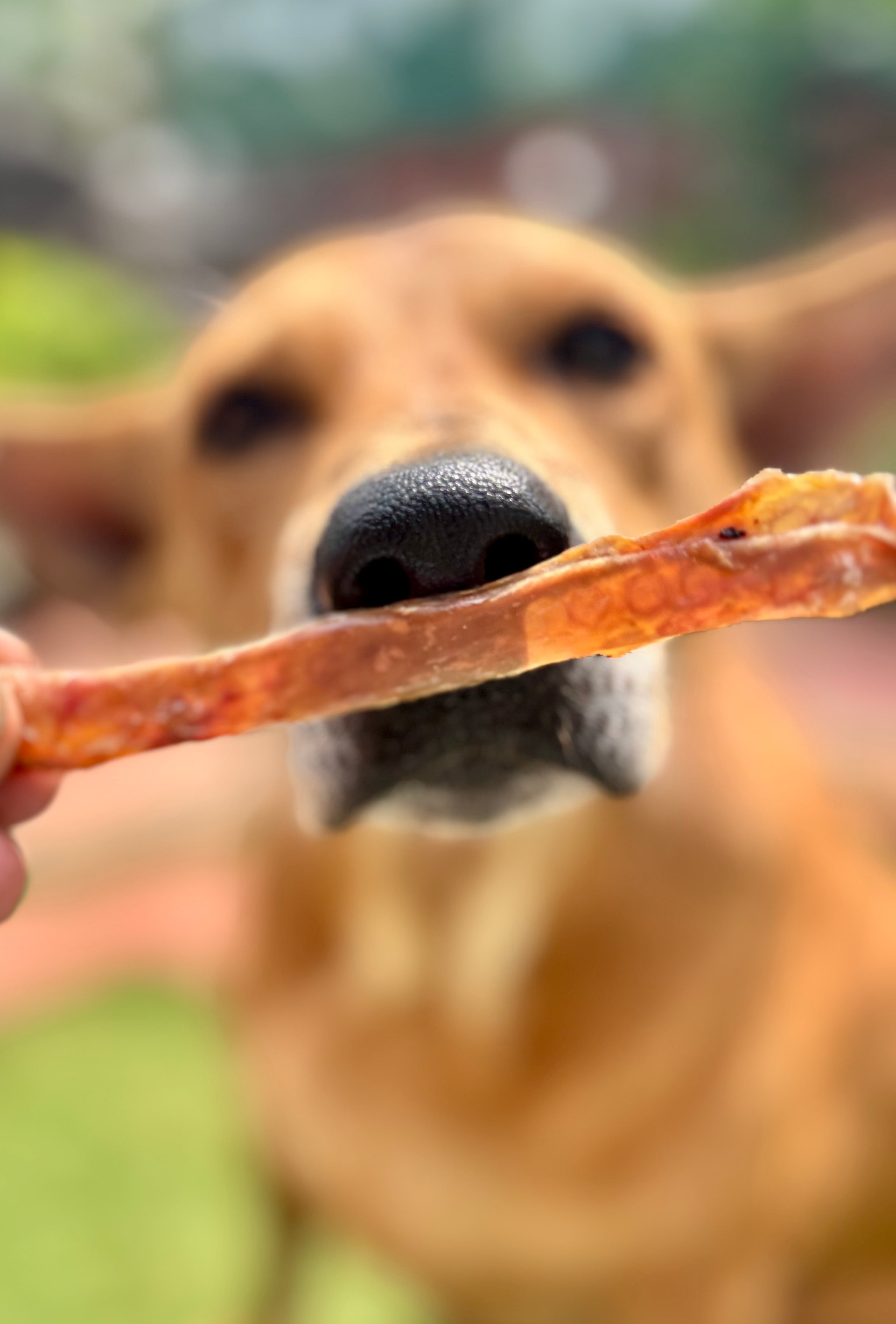 Pork Belly Strips - SPECIAL