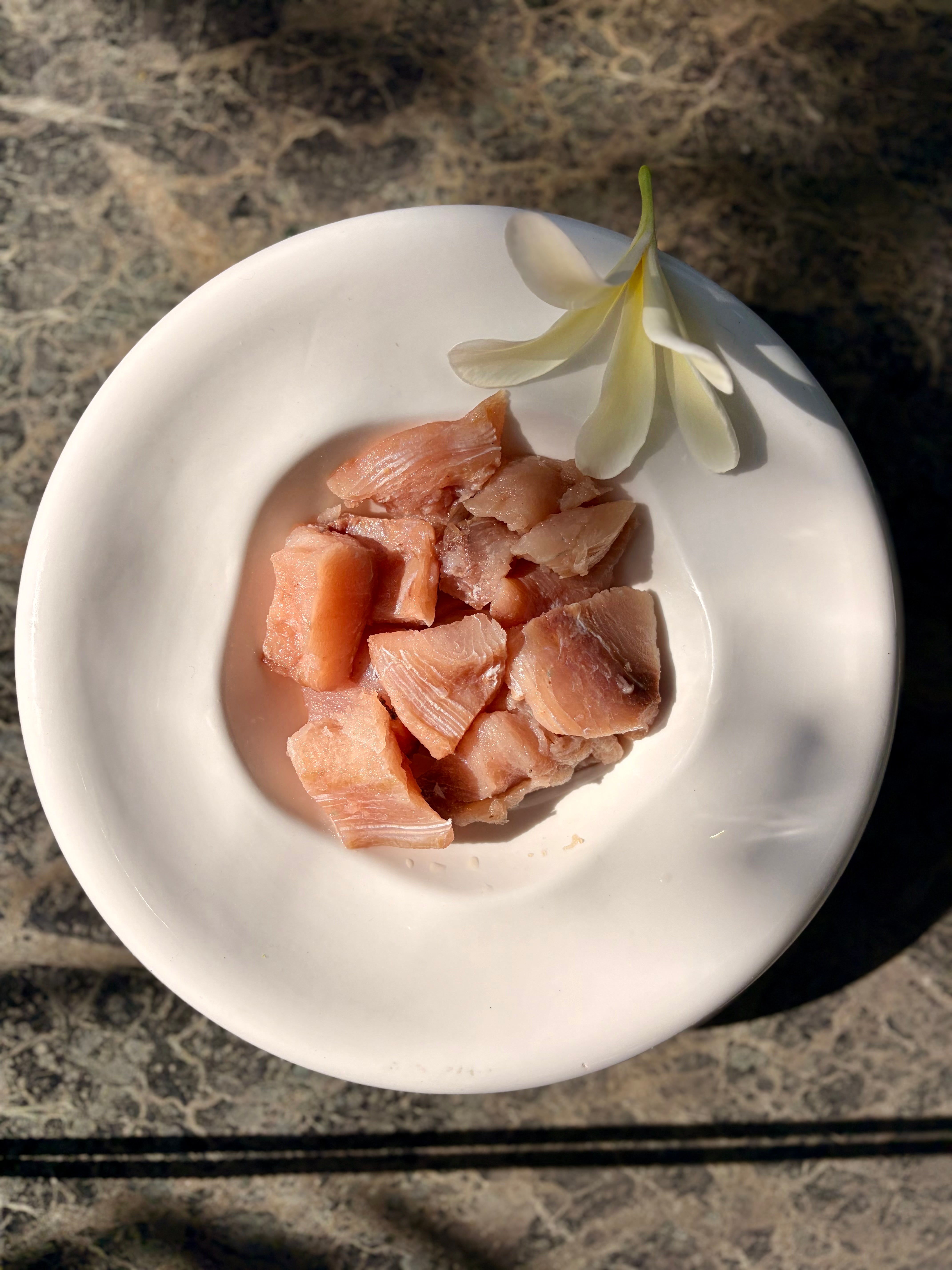 Mahi Mahi Fish Fillet