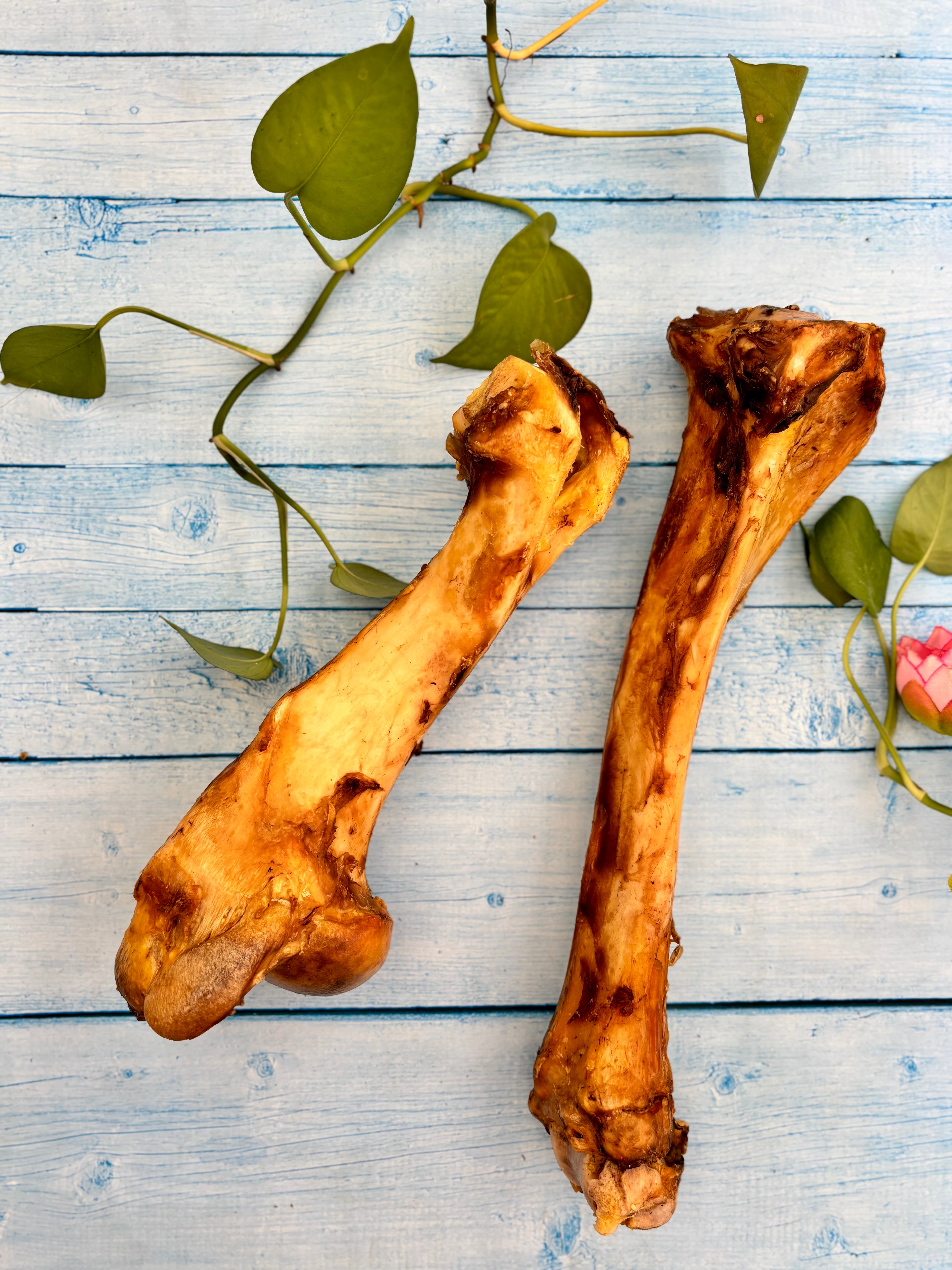 Beef Jumbo Bones - Megasize Chewbone - SPECIAL