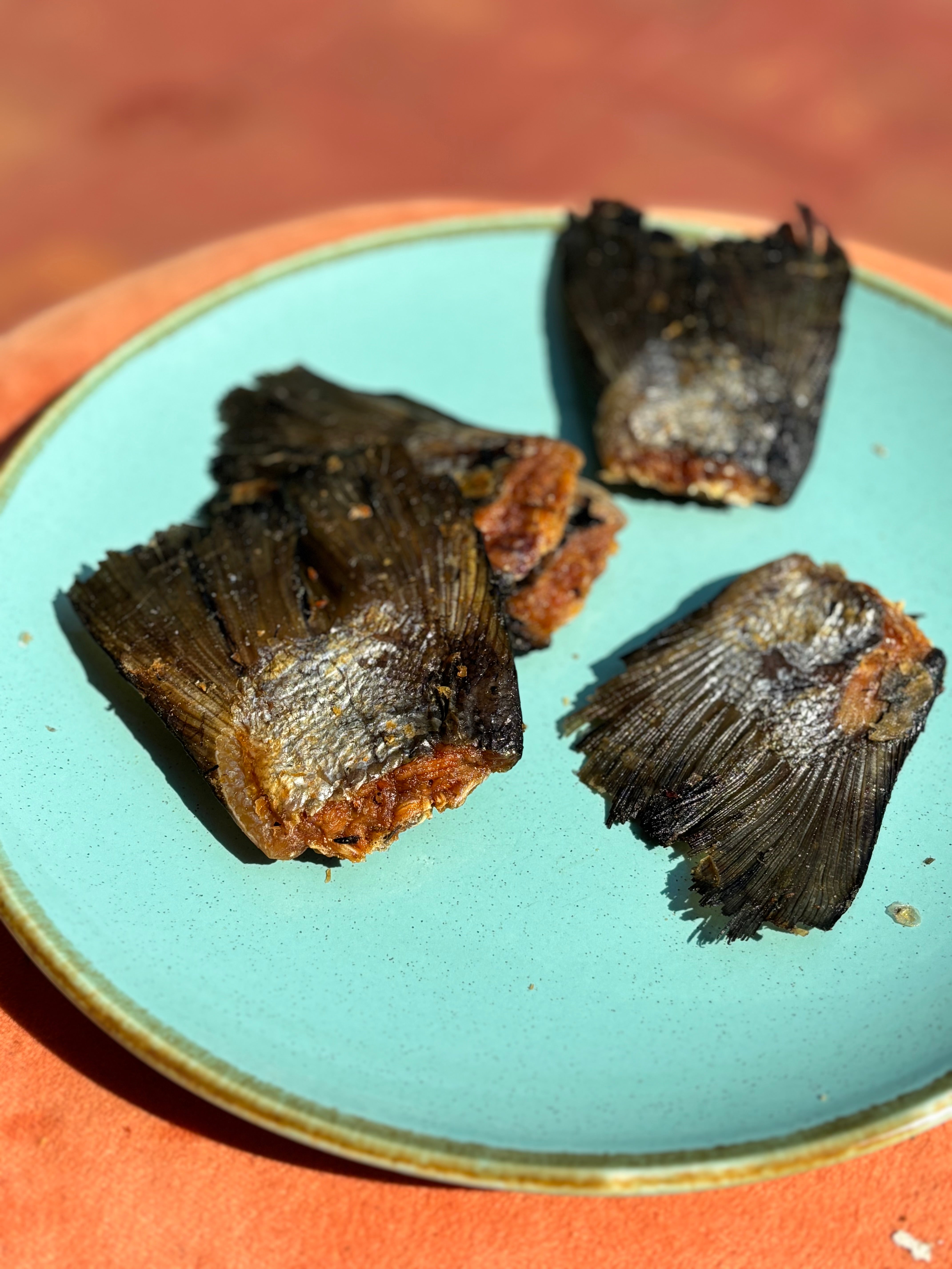 Norwegian Salmon Tailfins