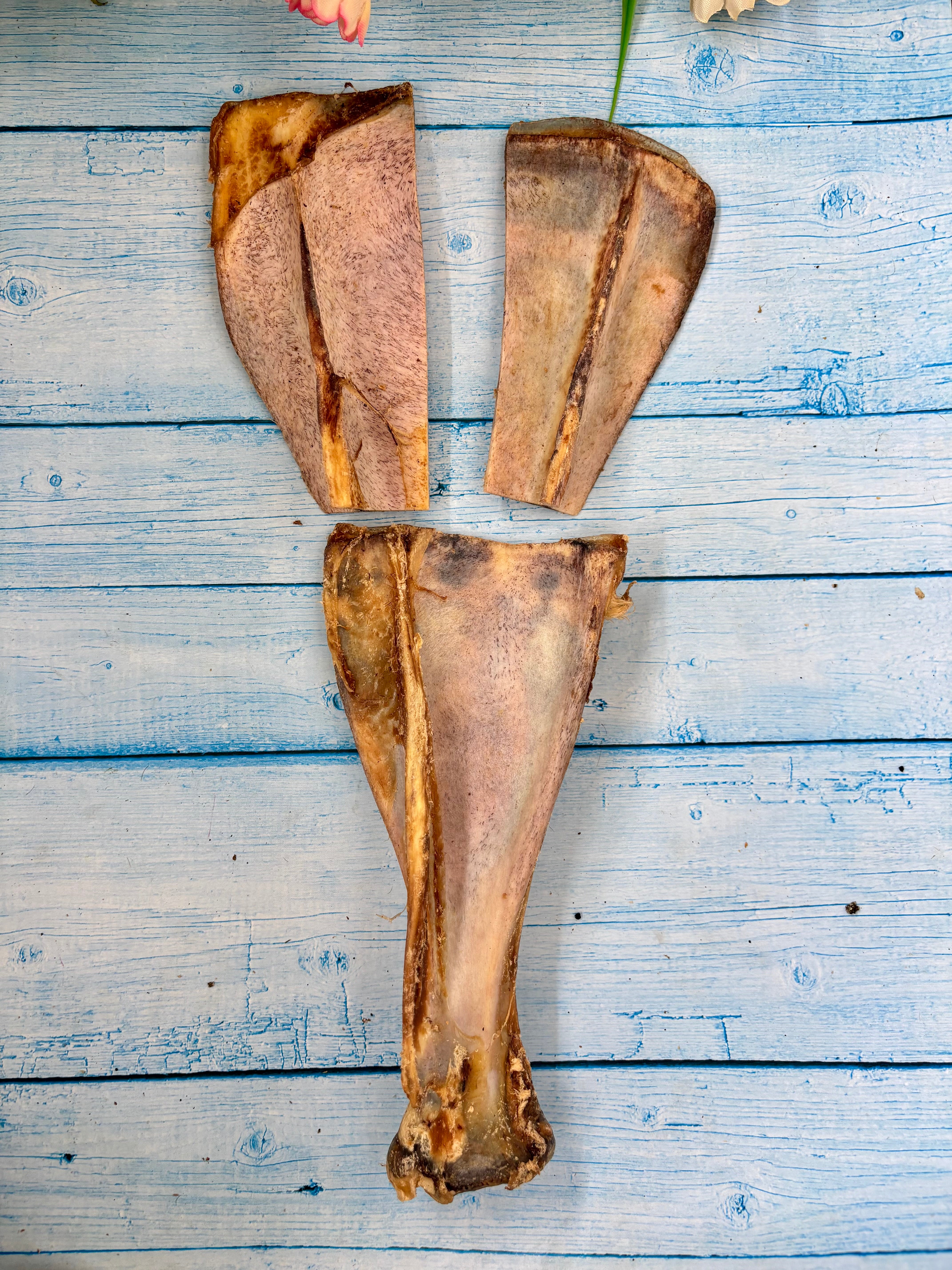 Beef Shoulder Bone 3PC