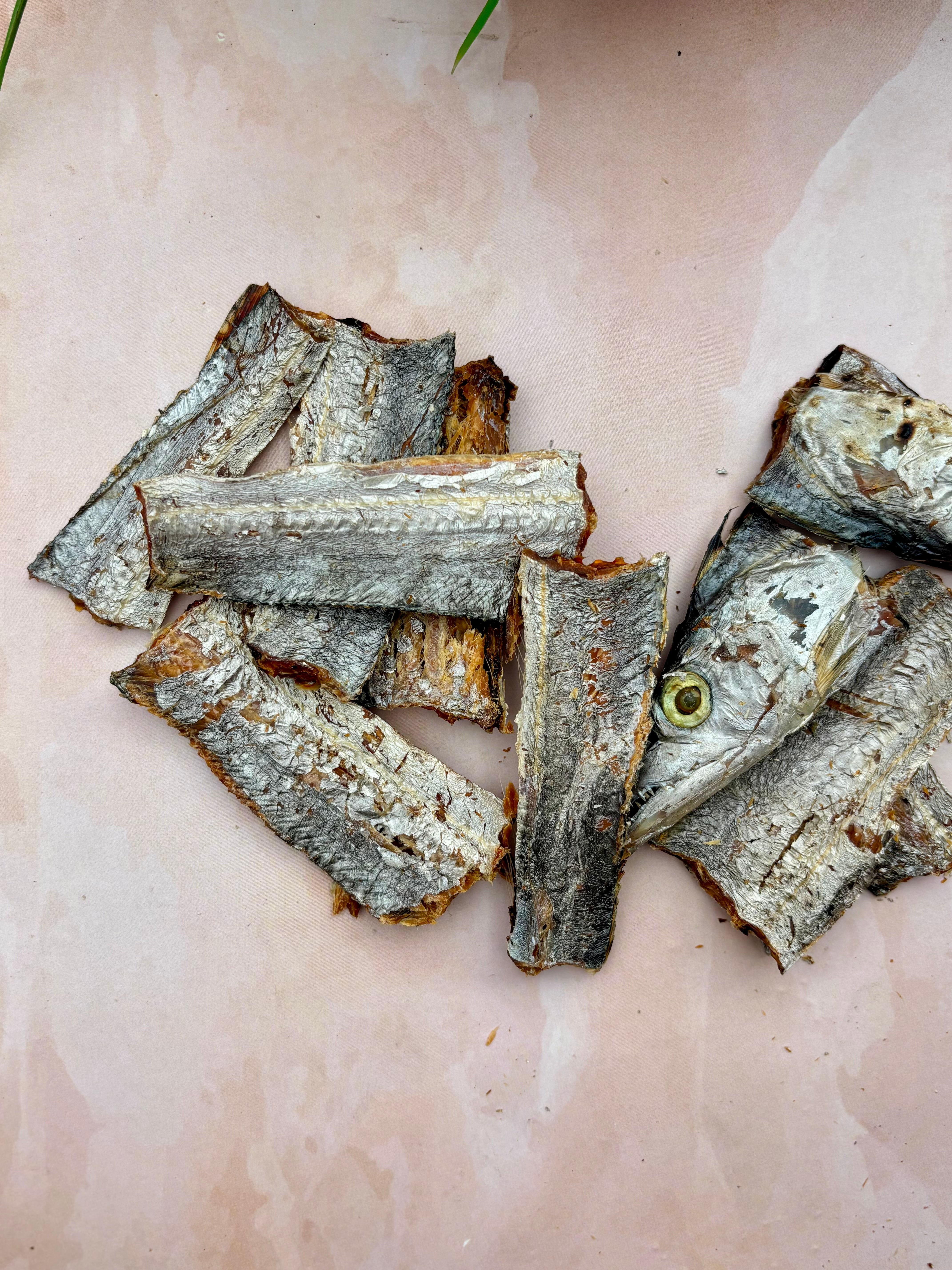 Whole Eel Chunks - SPECIAL