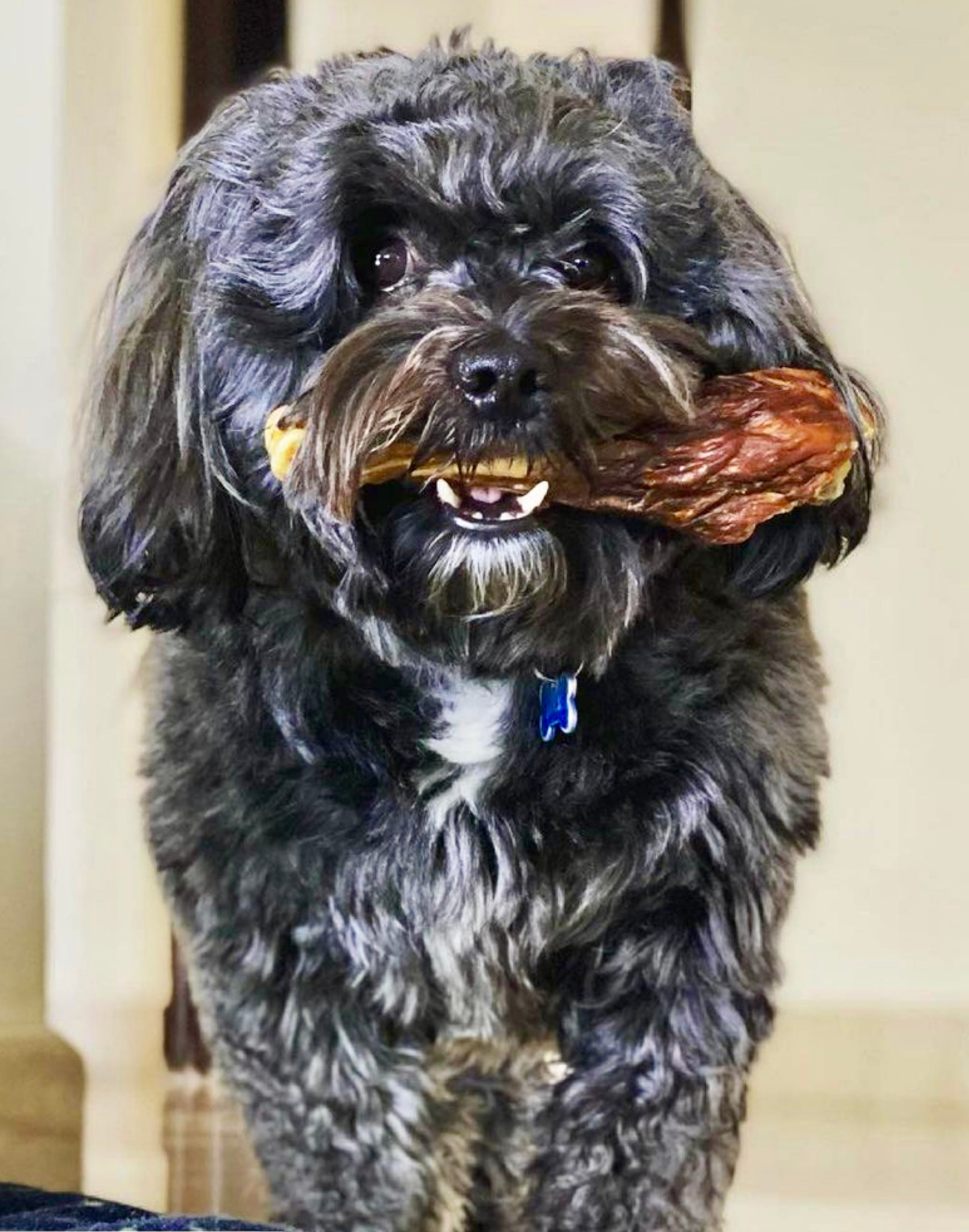 Turkey Thigh Chew / Drumstick