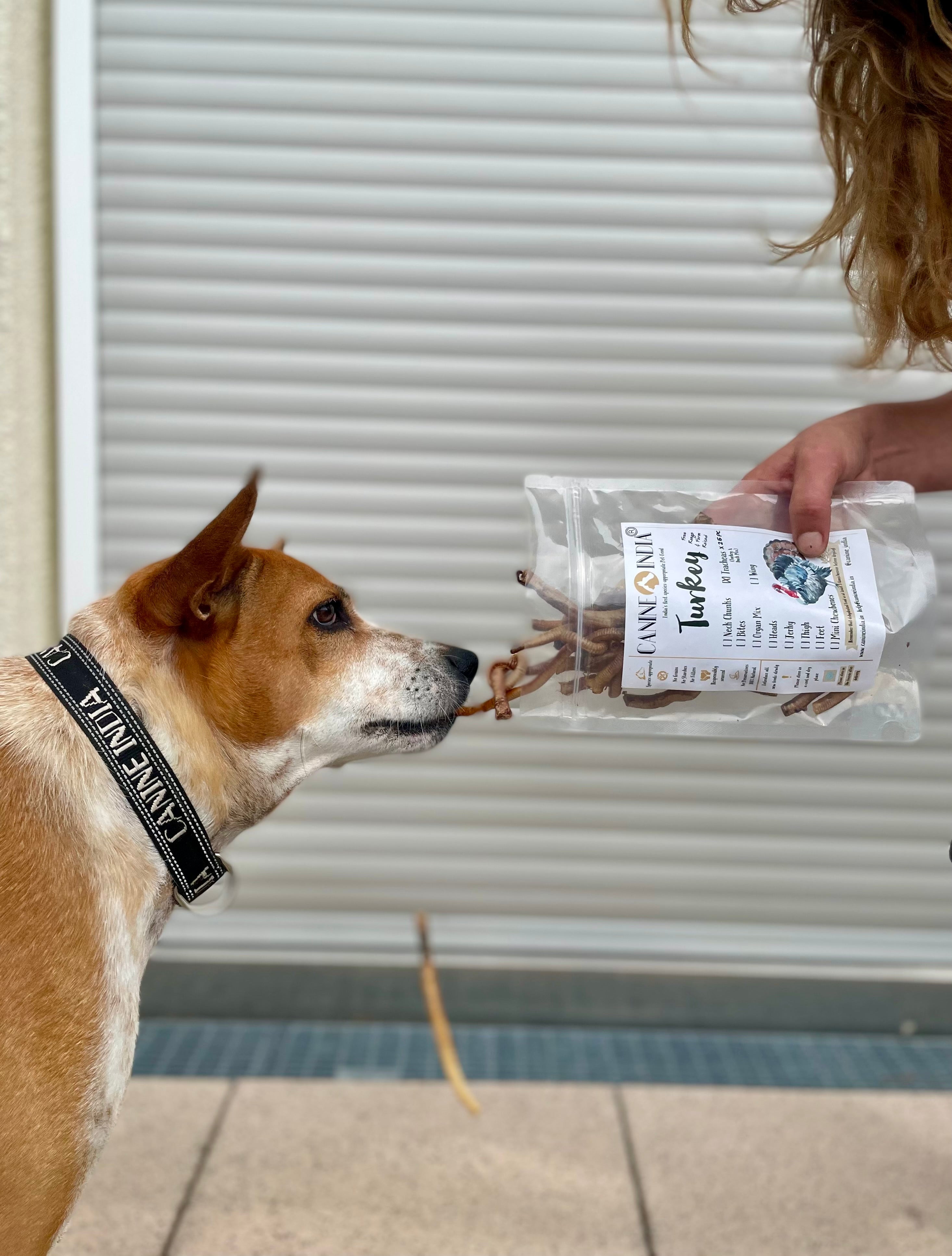 Mini Tracheas - Turkey & Duck Mix