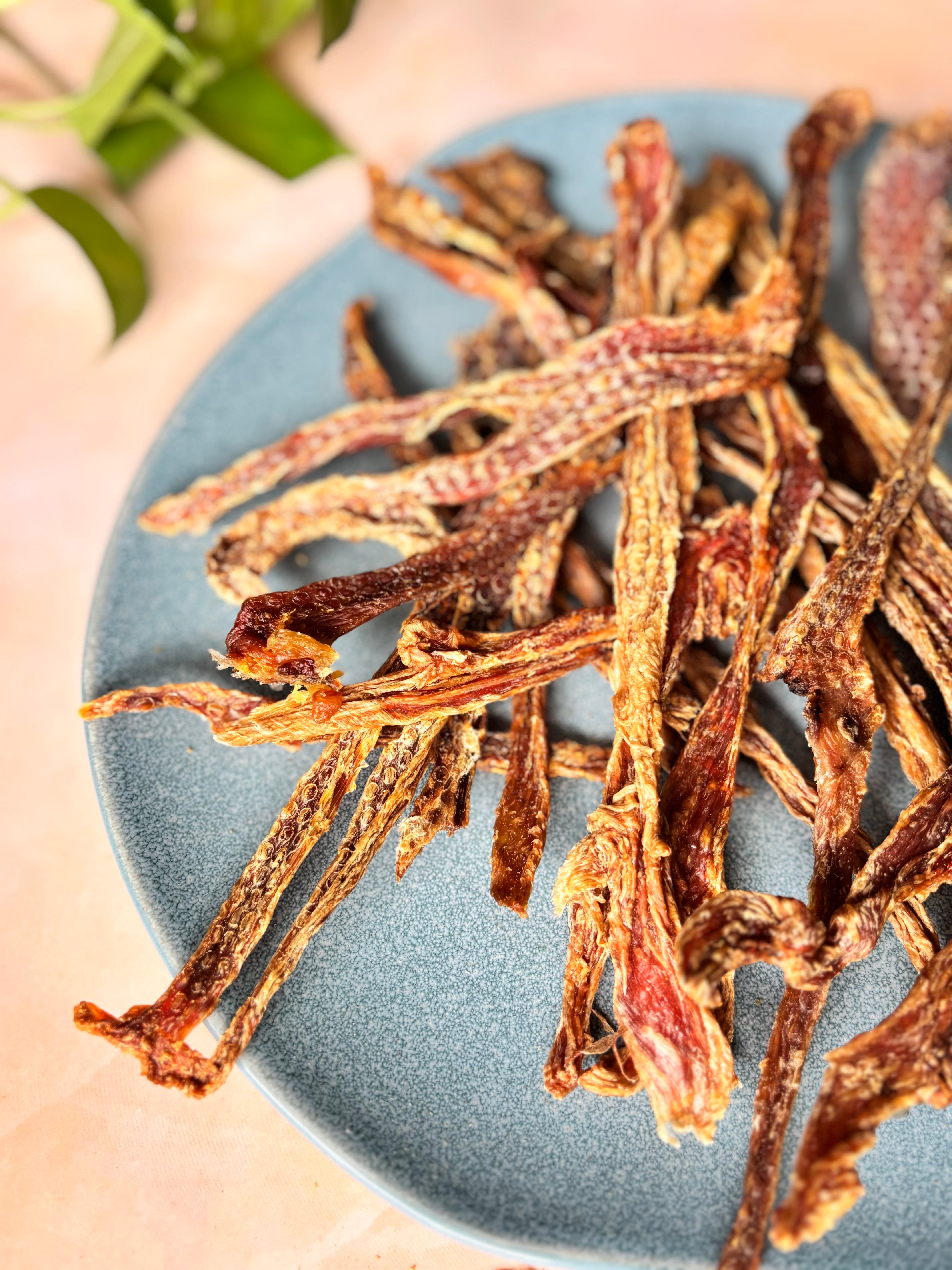 Turkey Jerky Strips