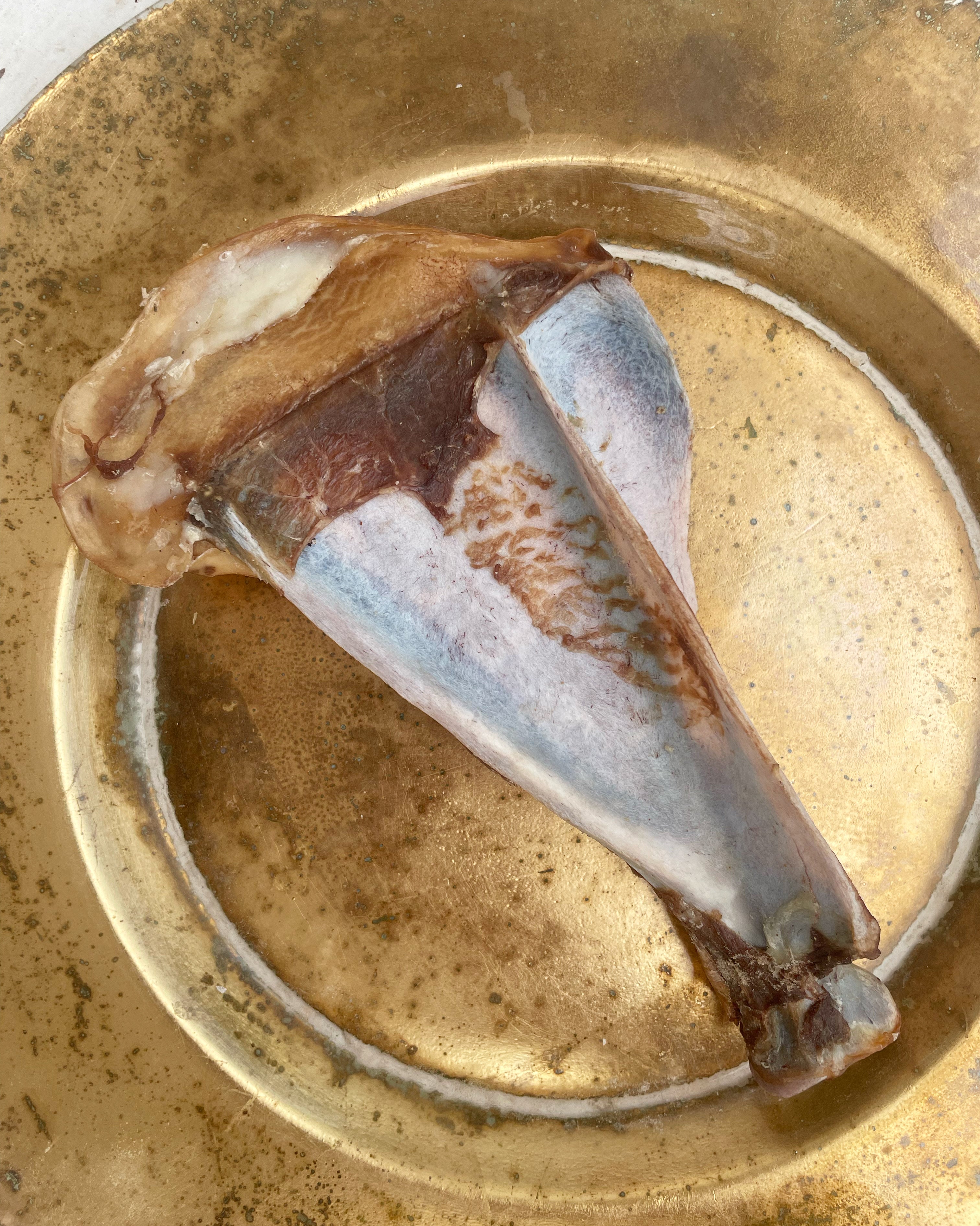 Goat Whole Shoulder Chewbone