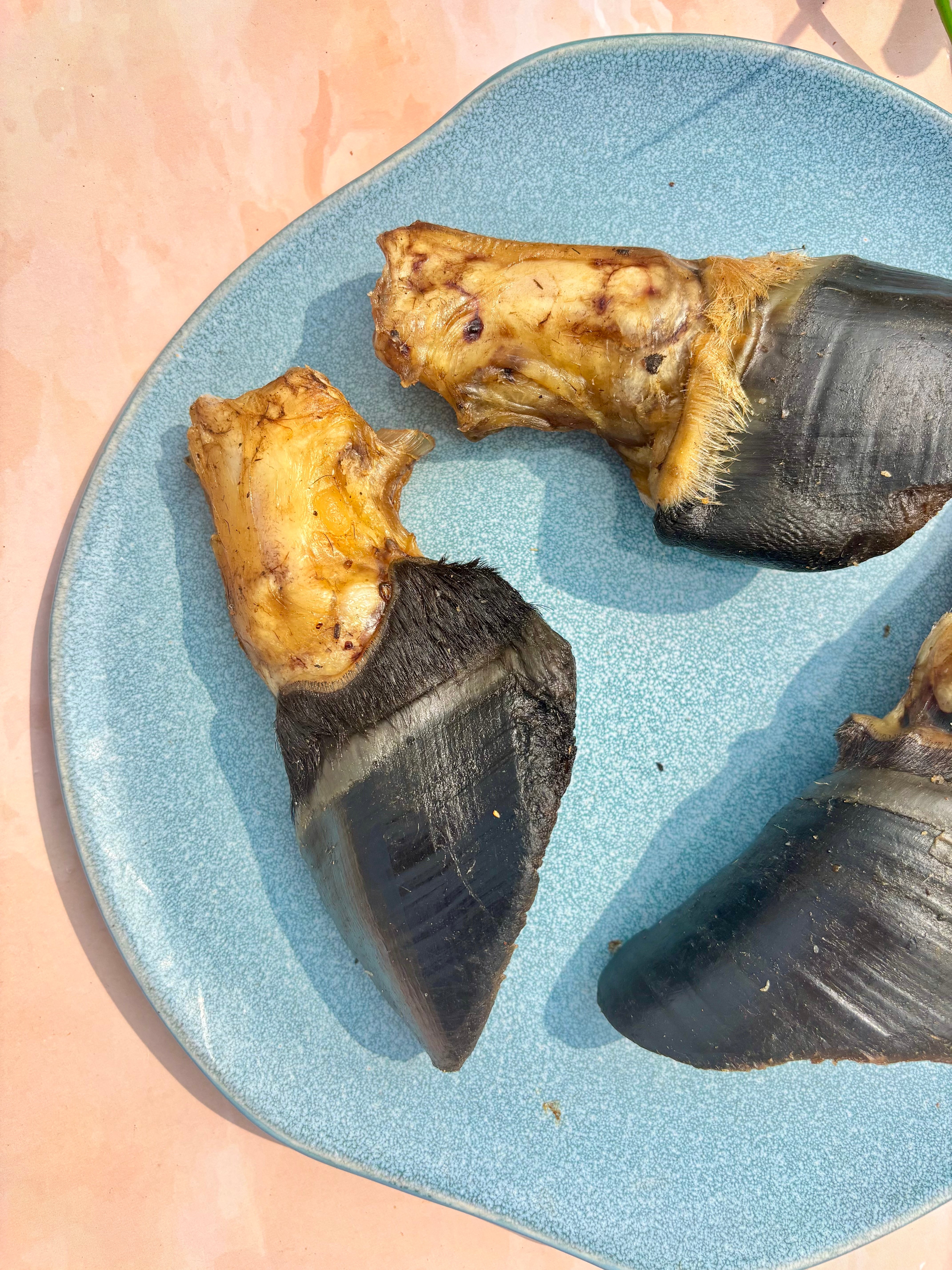 Beef Trotter Chew