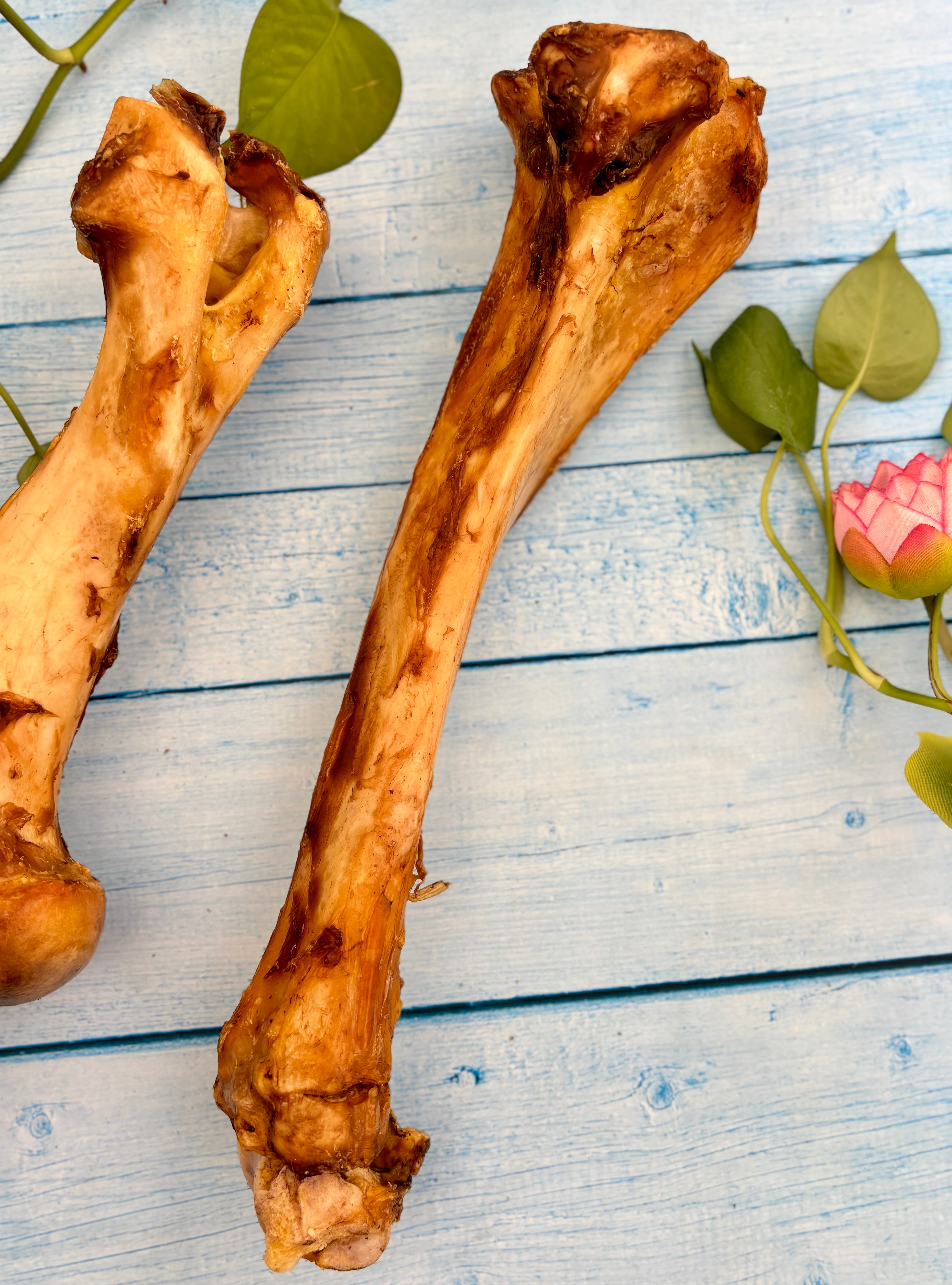Beef Jumbo Bones - Megasize Chewbone - SPECIAL