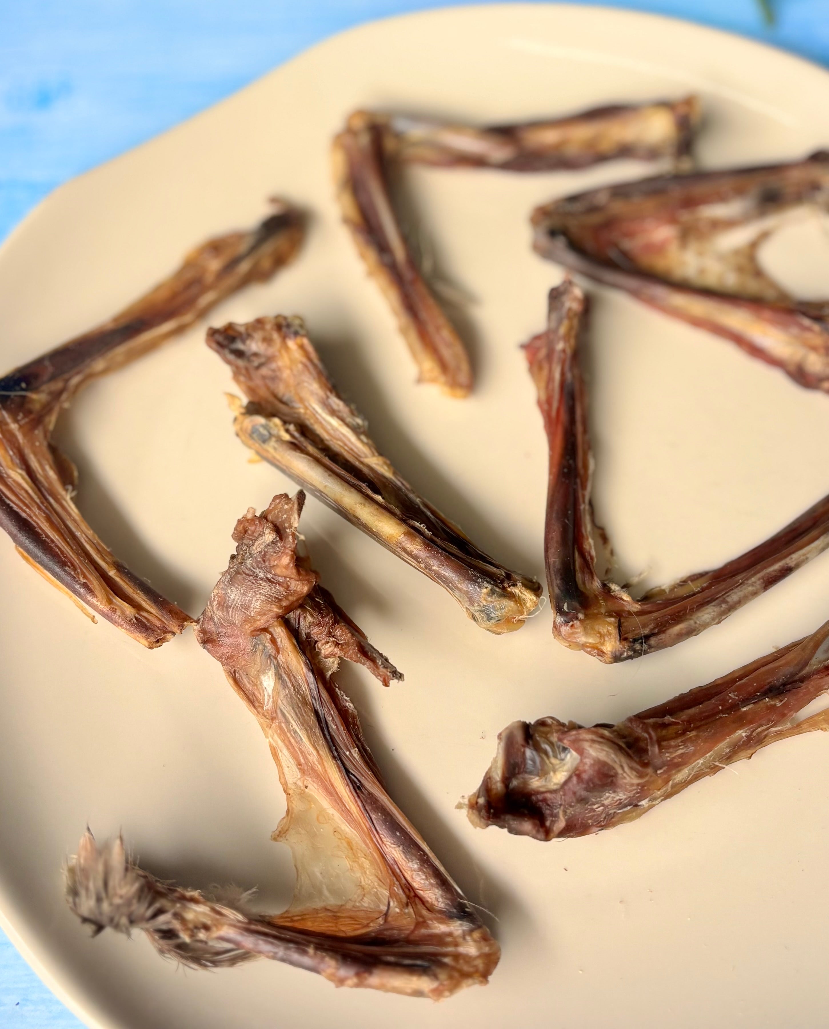 Duck Wings