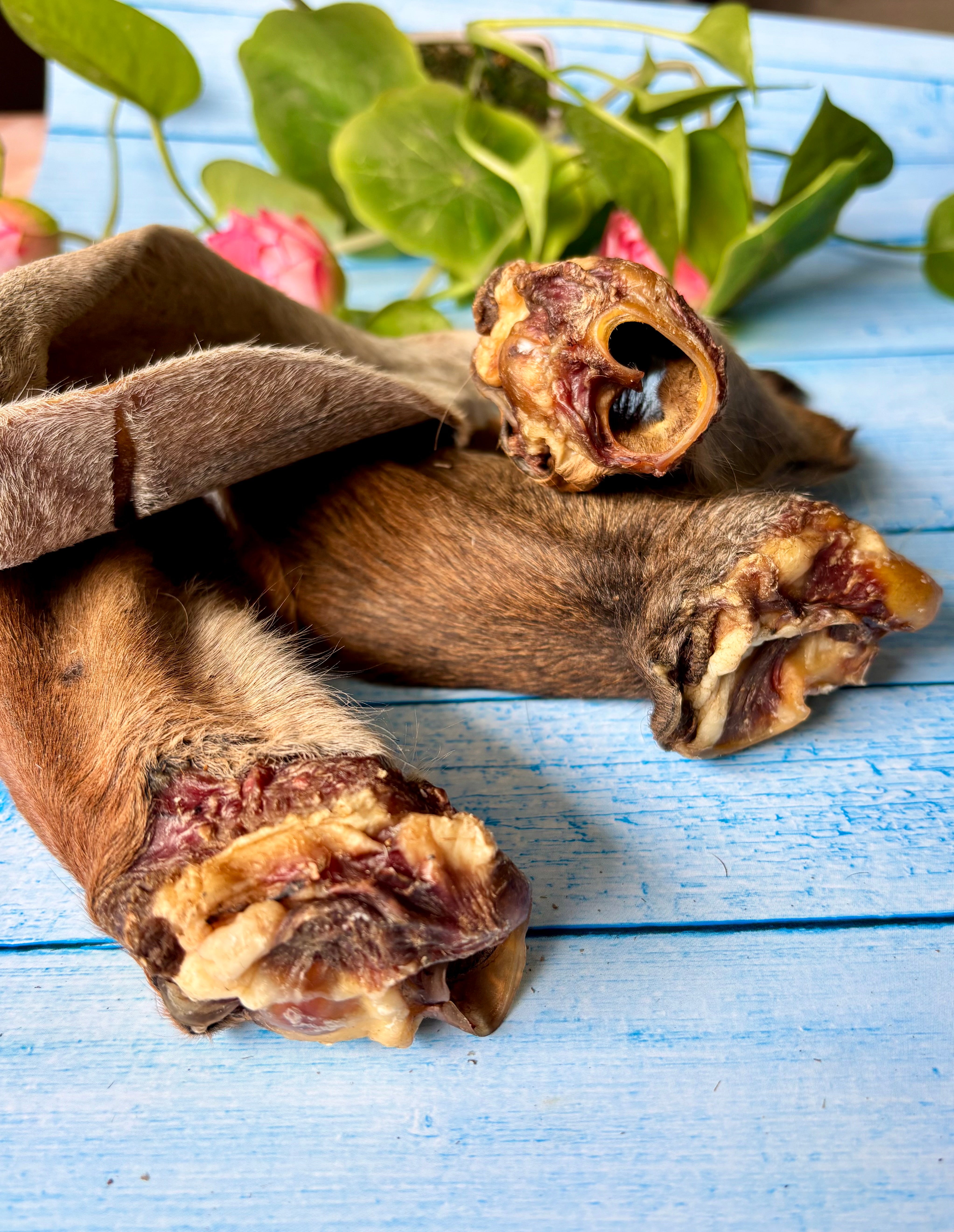 Beef Ears with Cartilage - SPECIAL