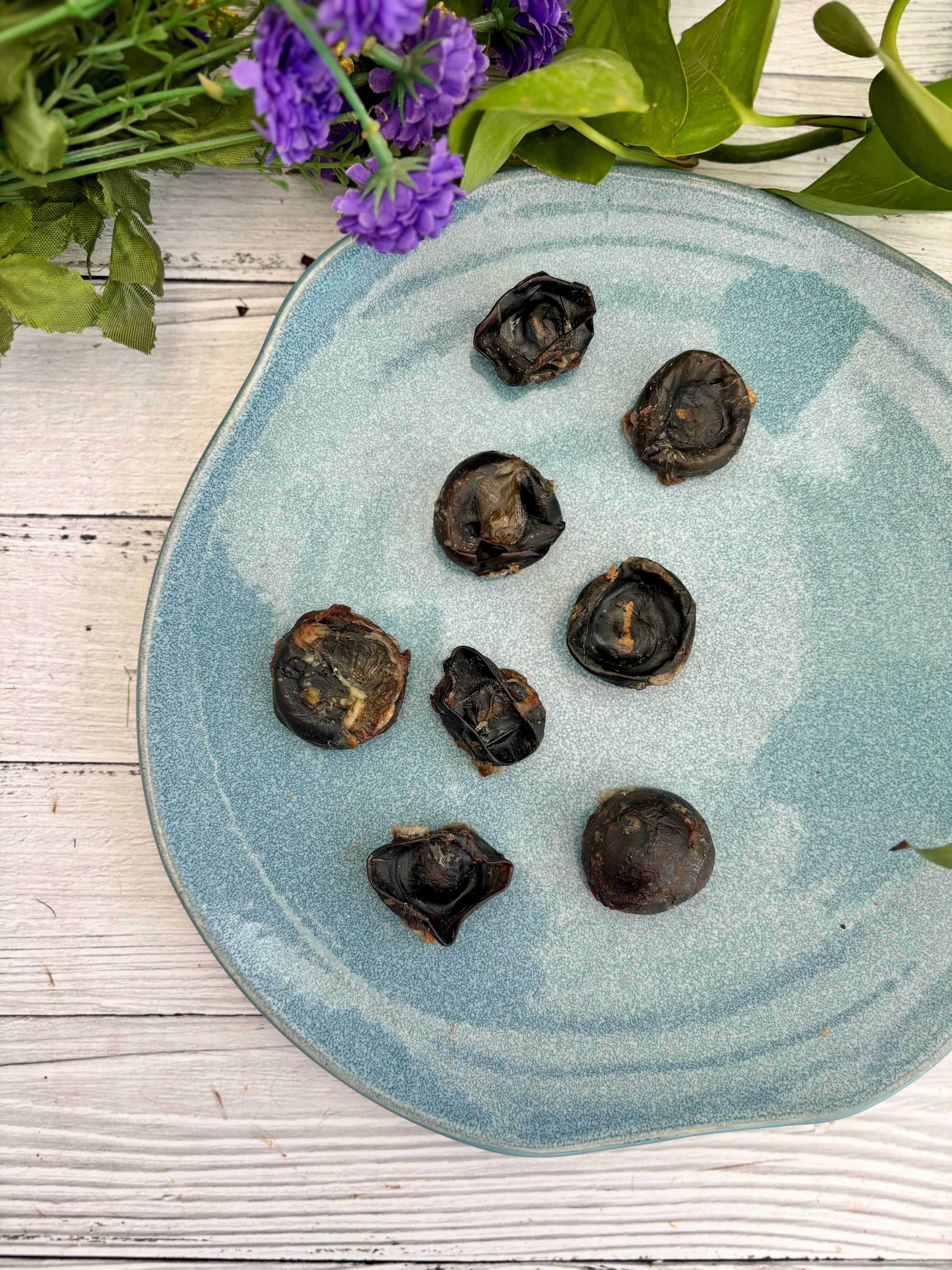 Beef / Buffalo Eyeballs - SPECIAL
