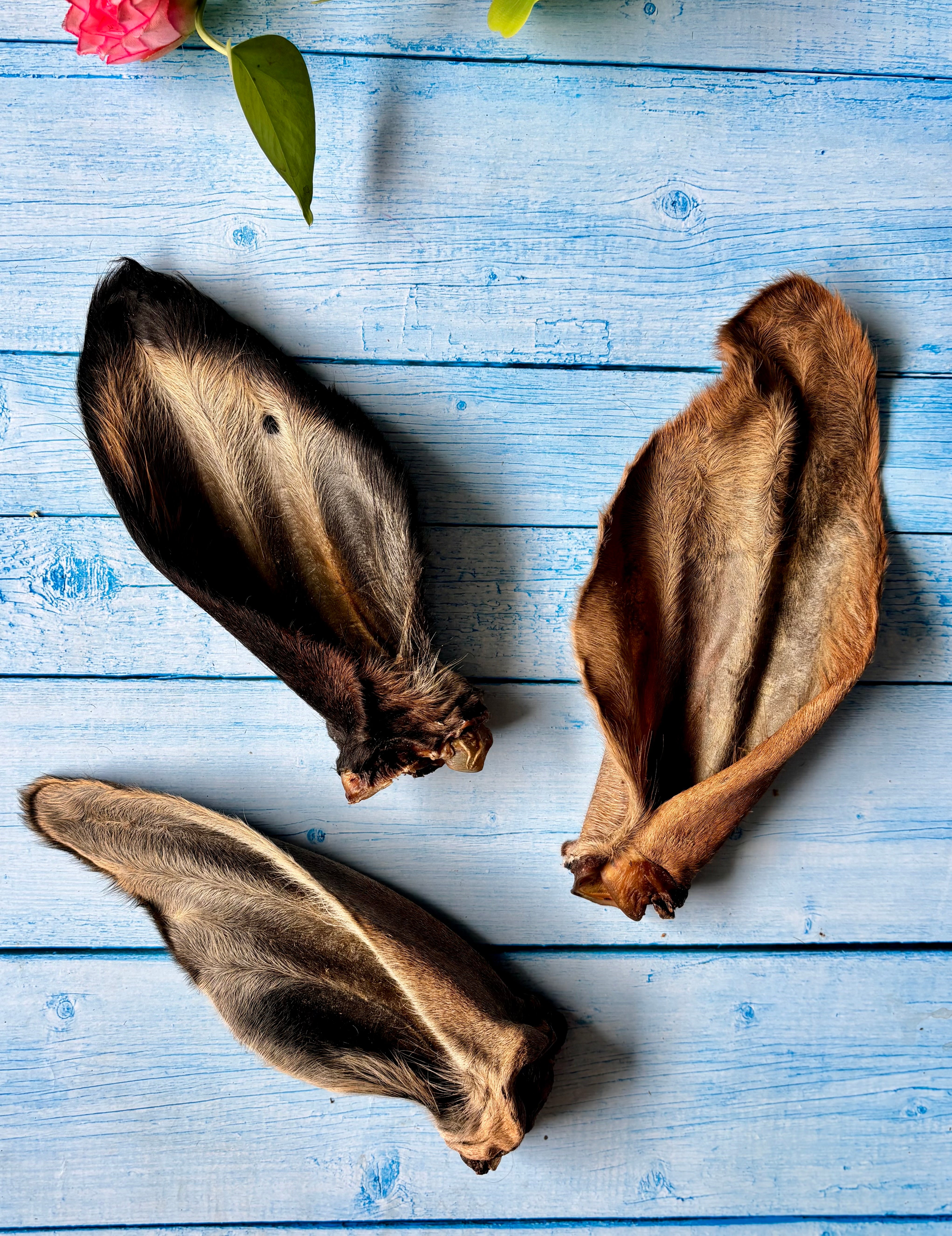 Beef Ears with Cartilage - SPECIAL