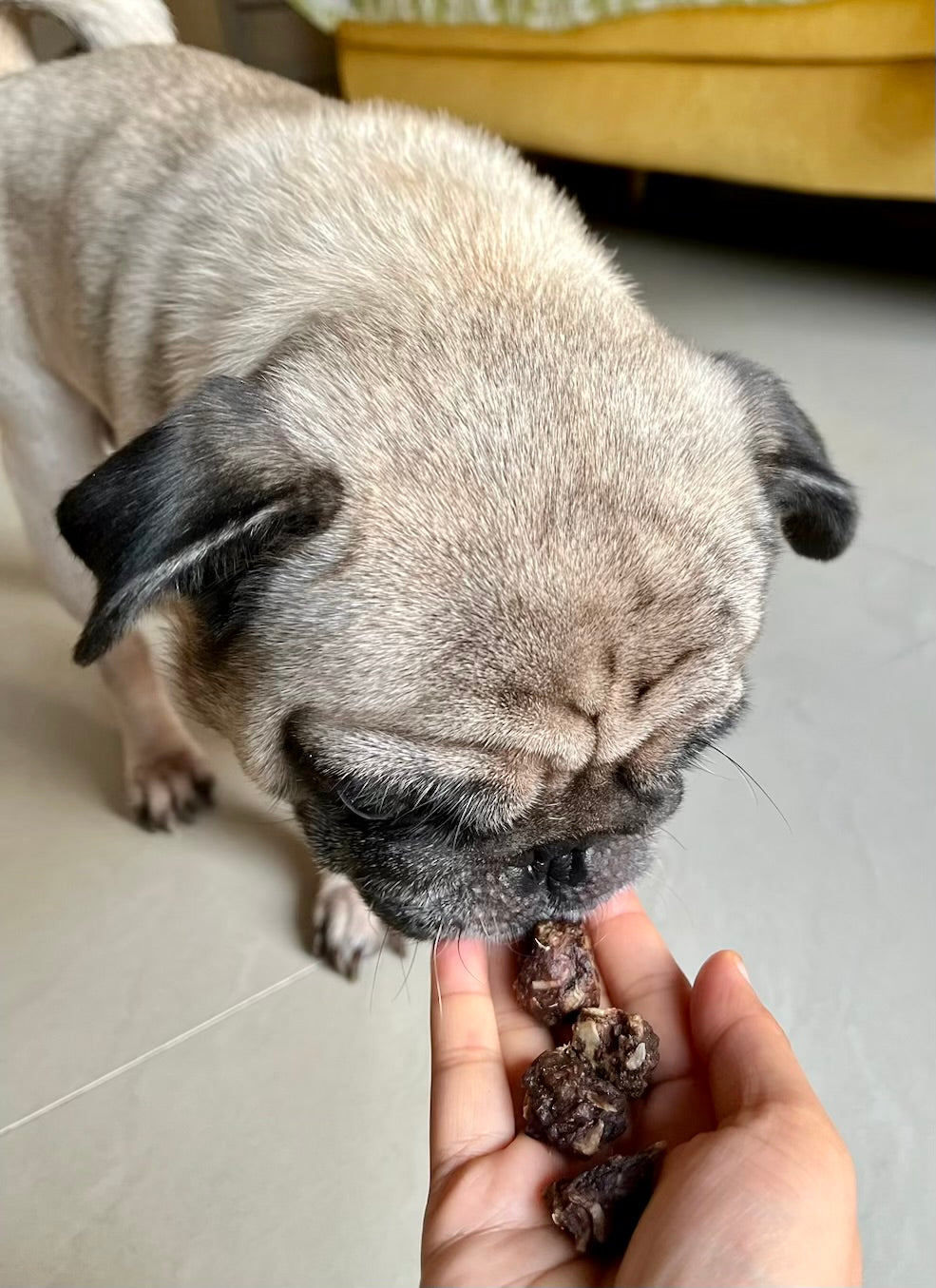 Squab Pigeon Crunchy Bites - SPECIAL