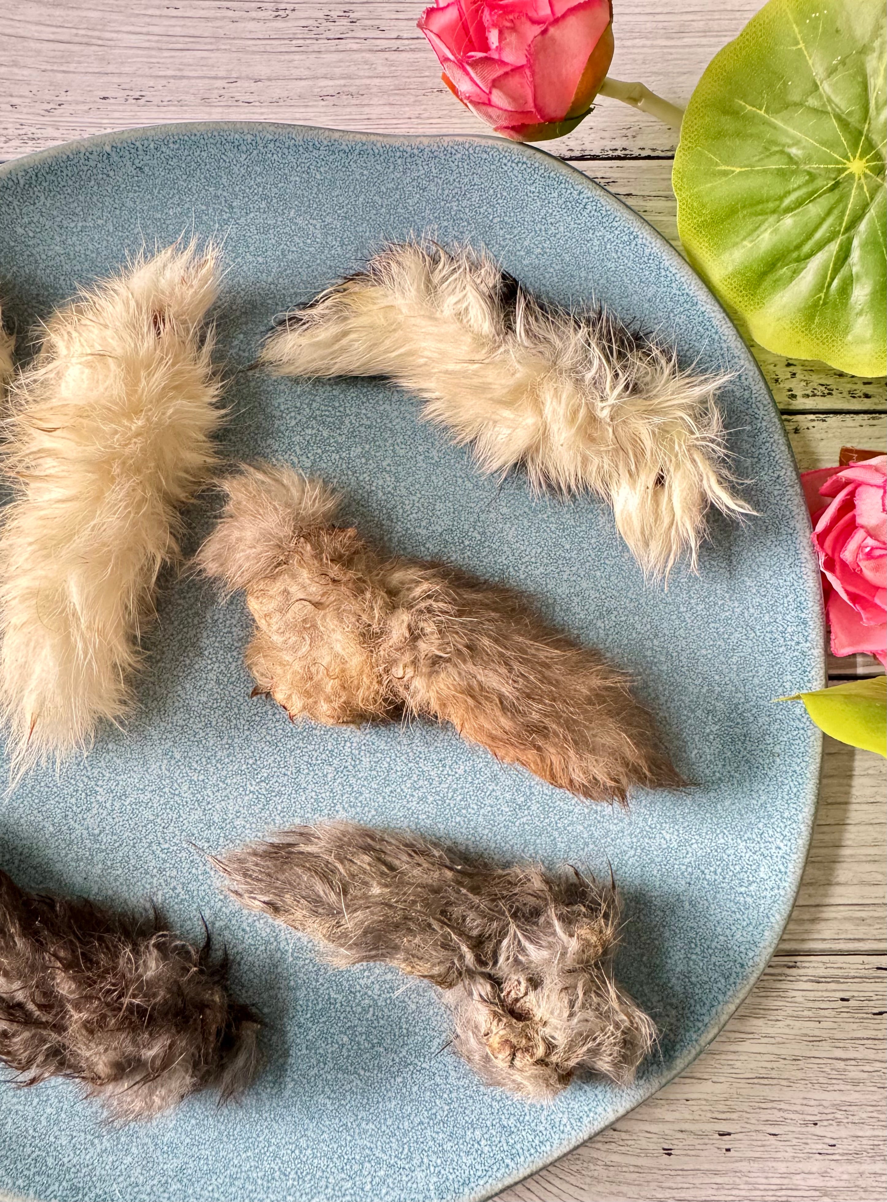 Rabbit Pinkies (Tails) - SPECIAL