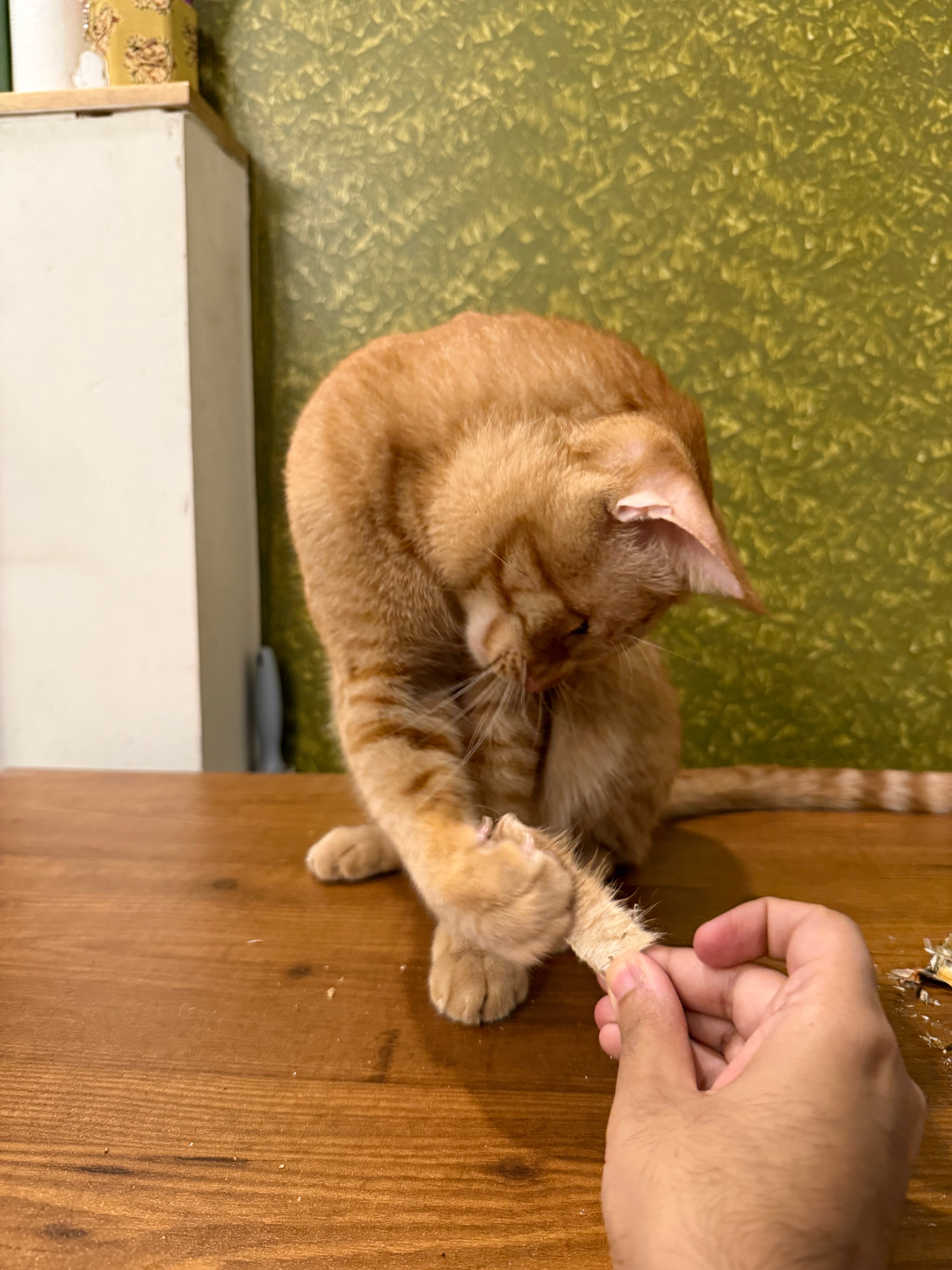 Real Hide Mini Chewstrips