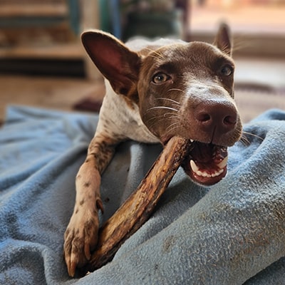 Meaty Chewbones