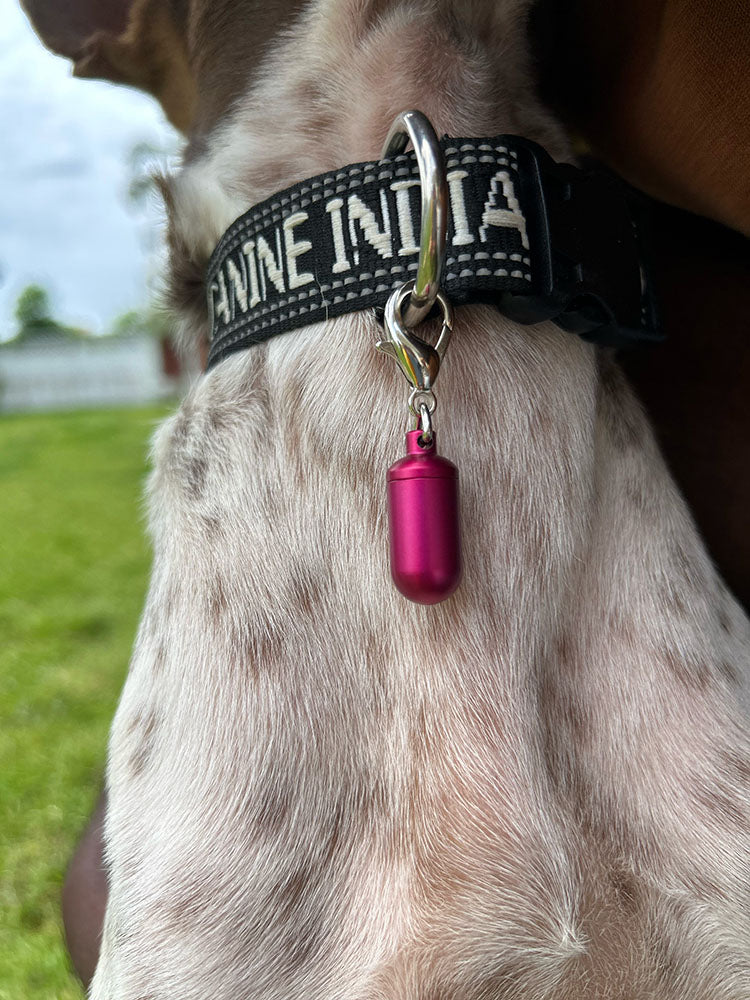 Adress Capsules for Dogs & Cats