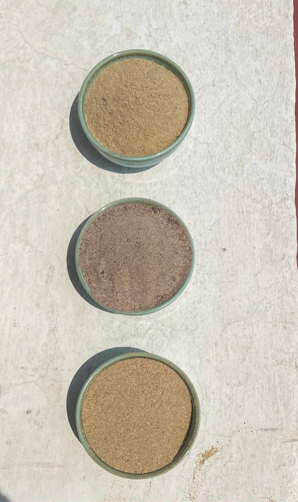 Antibiotic Relief - Gut Rescue after Medication | fights Giardia