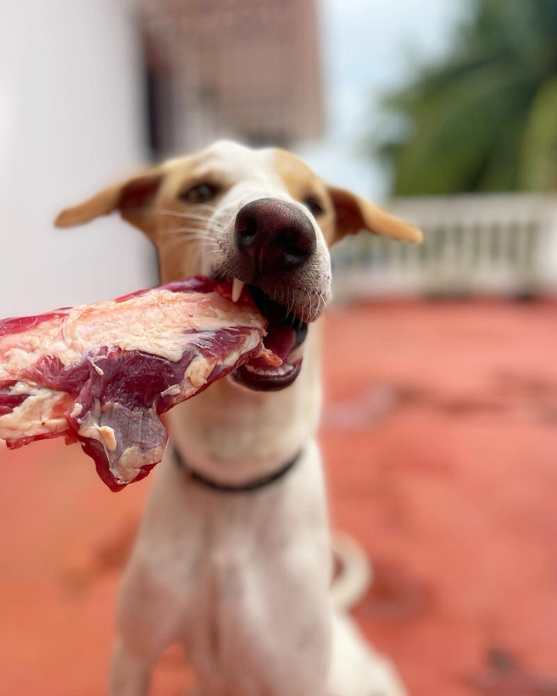Beef Bones