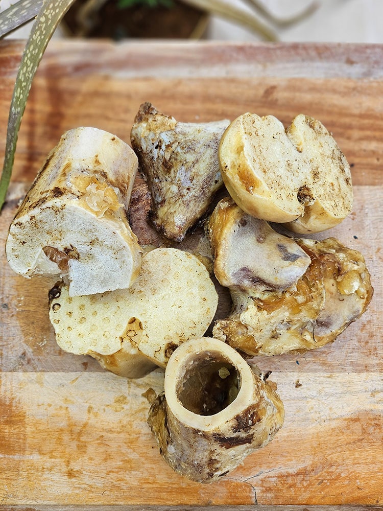Beef Marrow Bones | Variety of recreational Chews