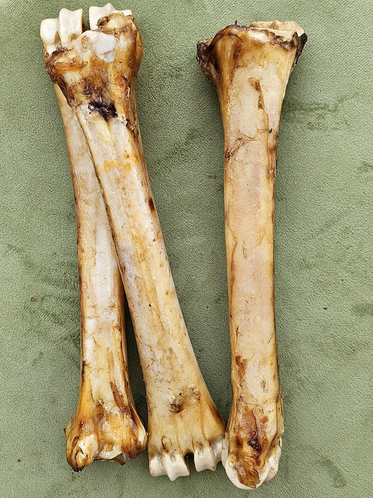 Beef Marrow Bones | Variety of recreational Chews