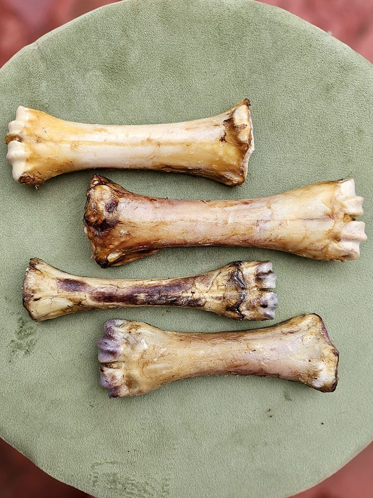 Beef Marrow Bones | Variety of recreational Chews