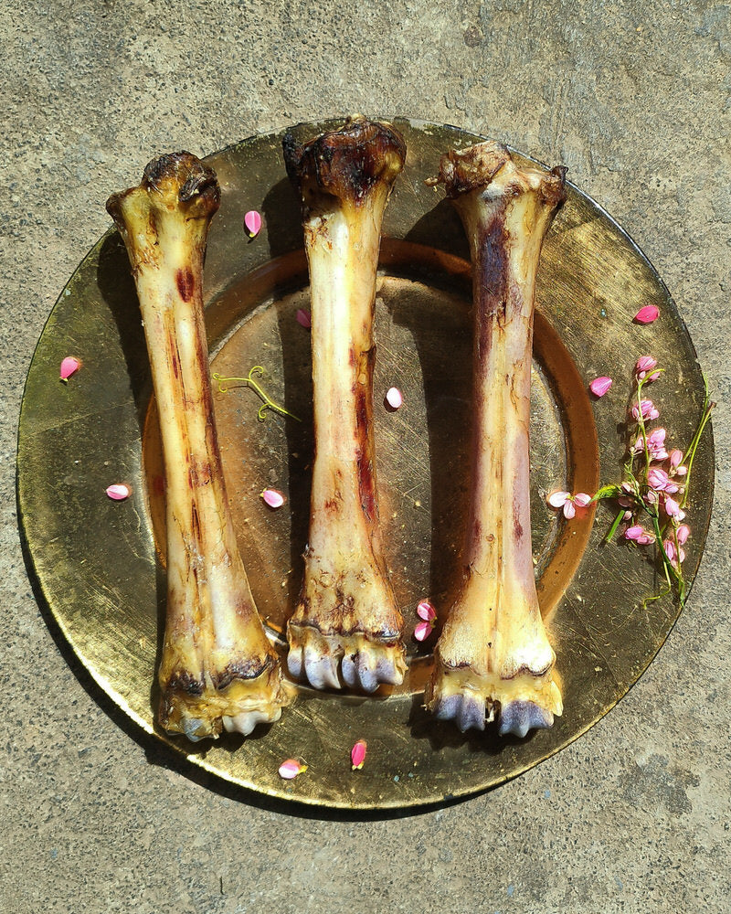 Beef Marrow Bones | Variety of recreational Chews