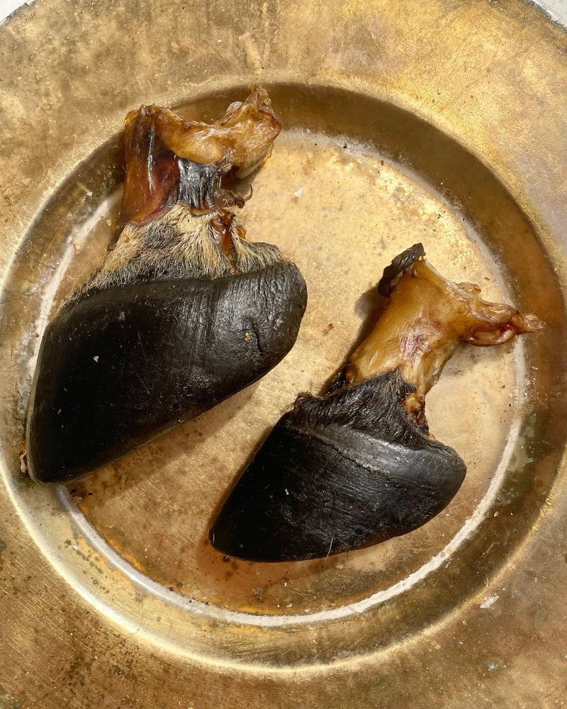 Beef Marrow Bones | Variety of recreational Chews