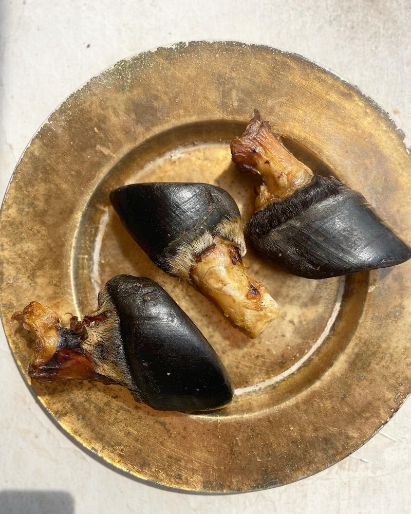 Beef Marrow Bones | Variety of recreational Chews