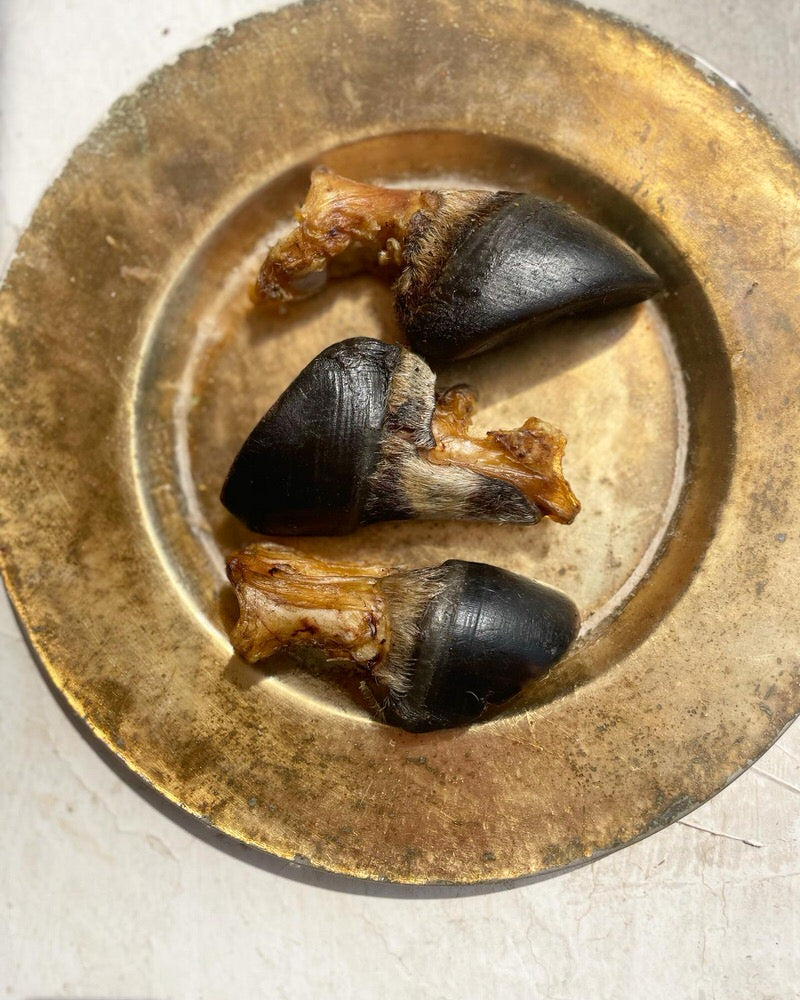 Beef Marrow Bones | Variety of recreational Chews