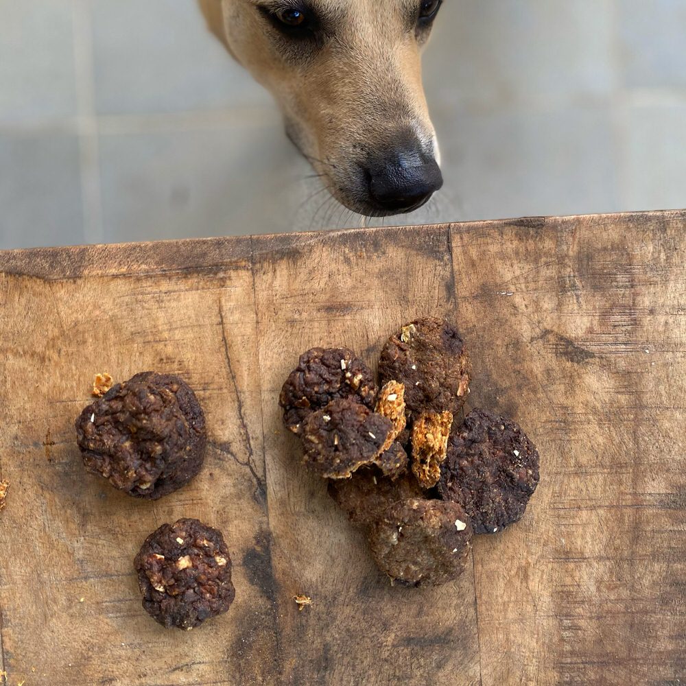 Beef Protein Cookies (Fillet & Duck Egg)