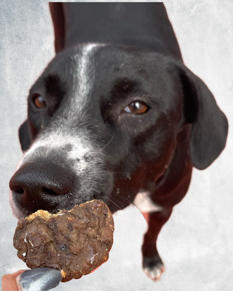 Beef Protein Cookies (Fillet & Duck Egg)