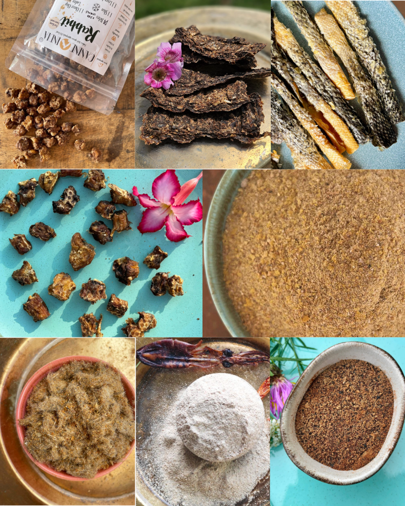 Skin & Coat Glow Up Box for Dogs