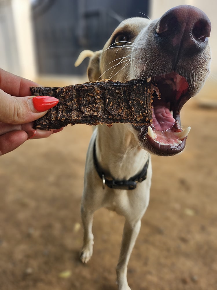 Complete Nutrition Protein Bars - Guinea Fowl