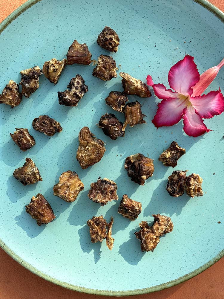 Crunchy Bites (Rabbit, Duck, Turkey)