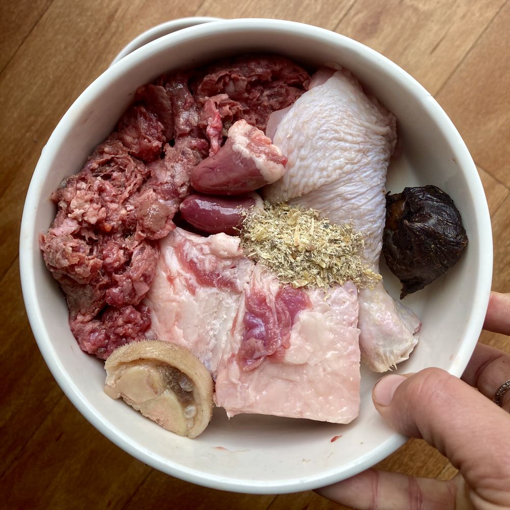 Duck Organs (Variety)