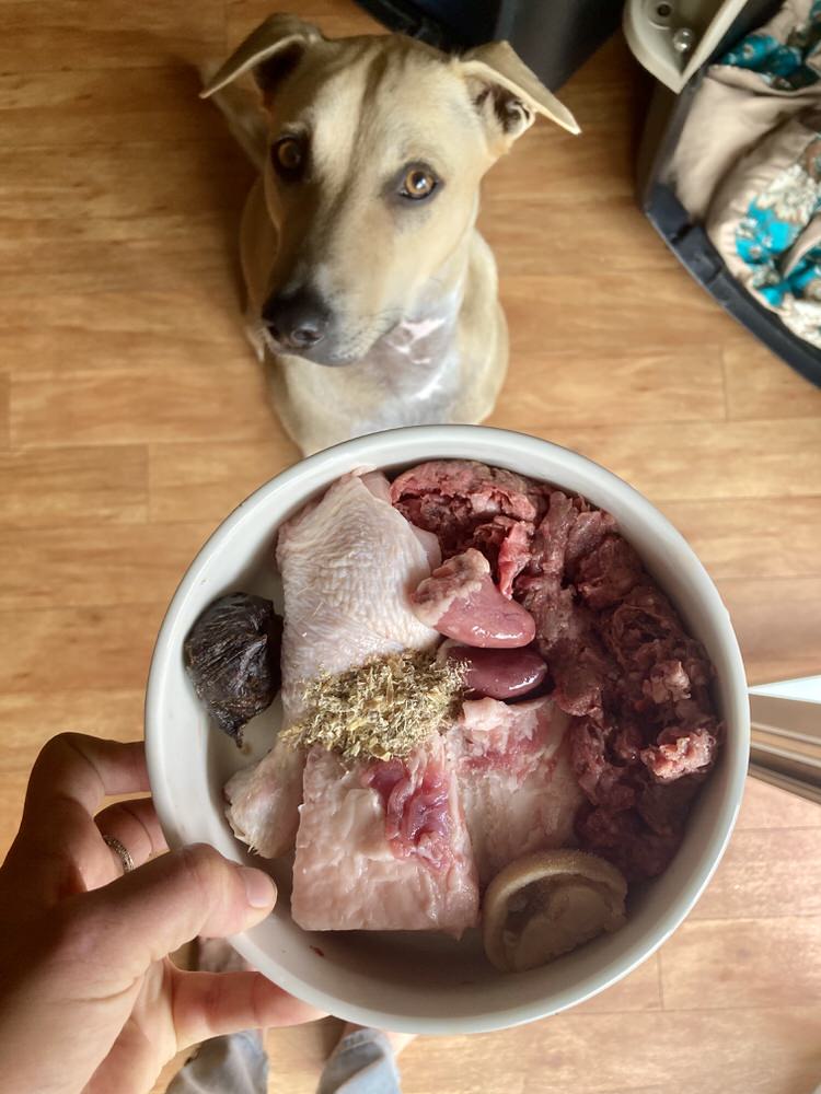 Duck Organs (Variety)
