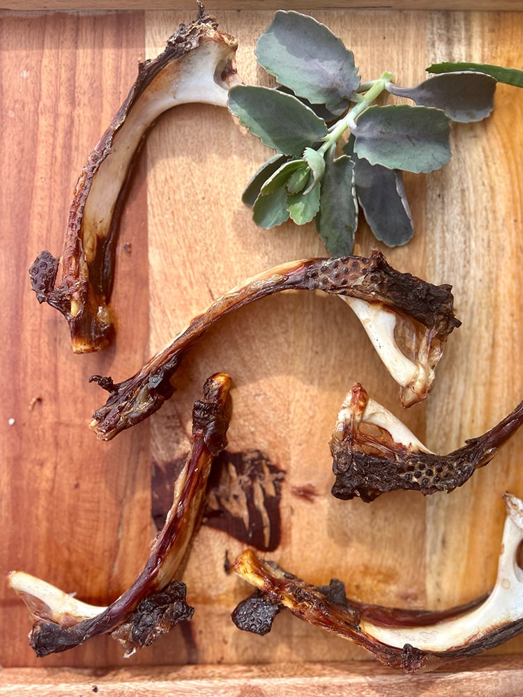 Emu Bone Chew Variety