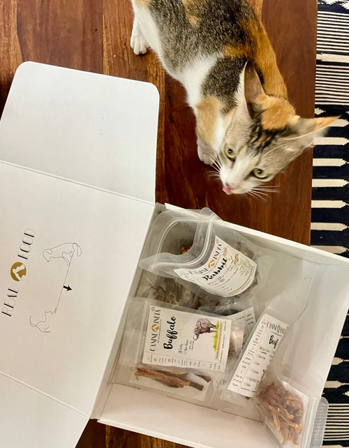 Feline Sampler or Giftbox