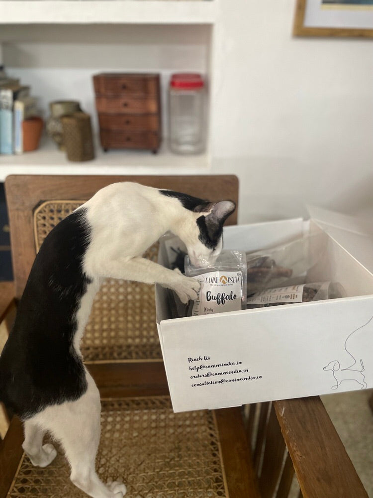 Feline Sampler or Giftbox
