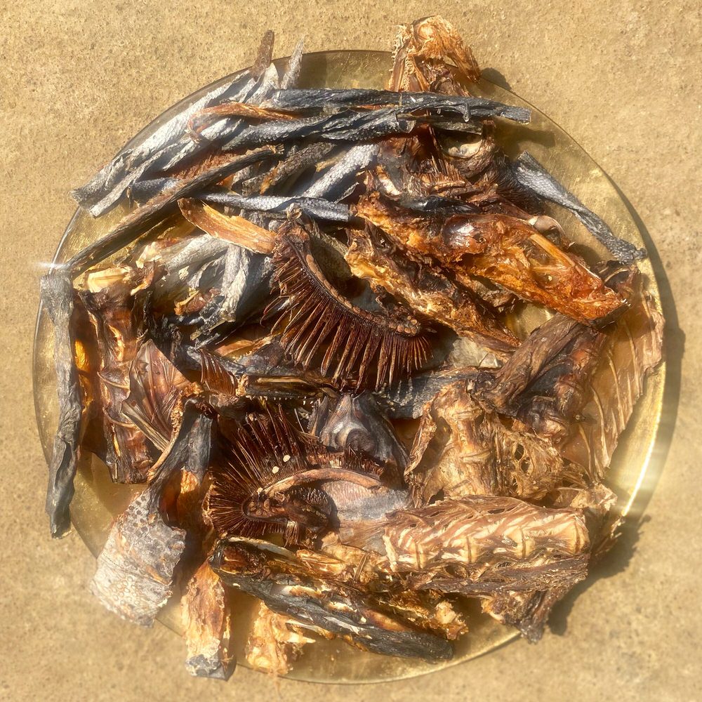 Fish Chewies (Mix of Cartilage, Skin and meaty Chunks)