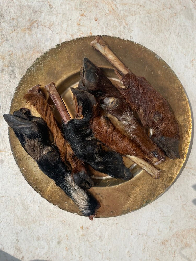 Furry Goat Trotter