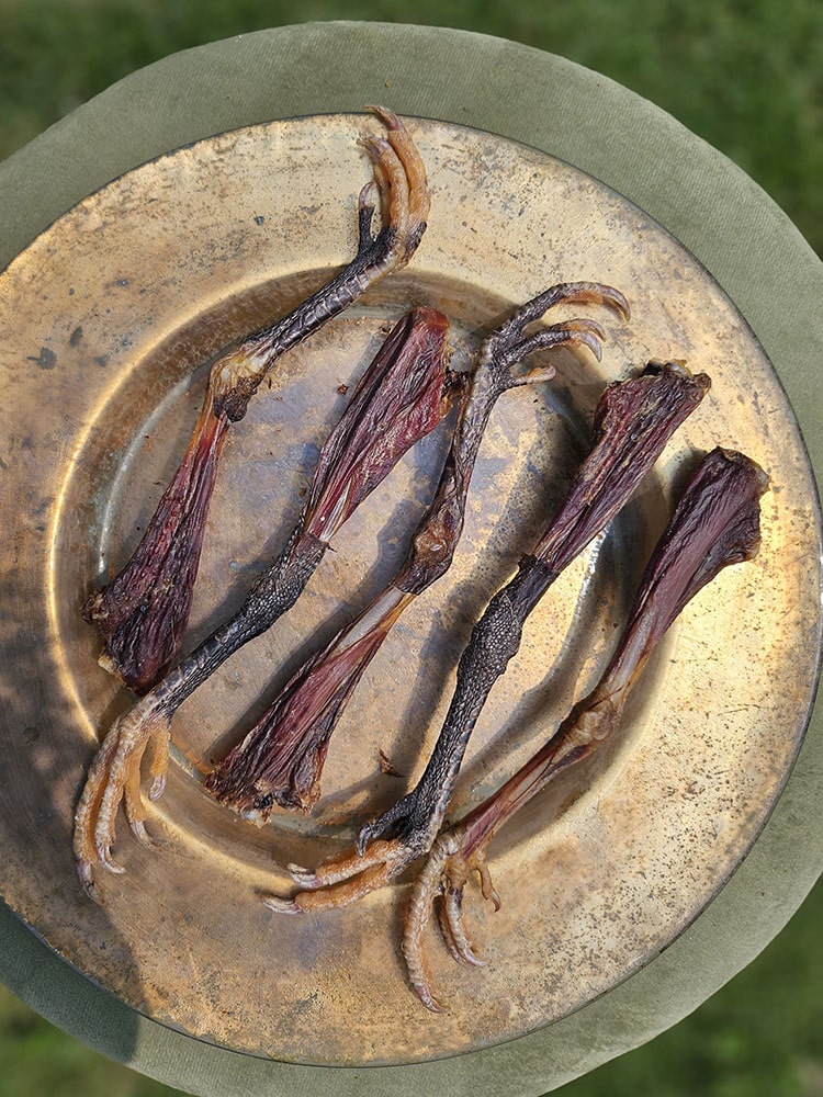 Guinea Fowl Meaty Chews for Dogs and Cats