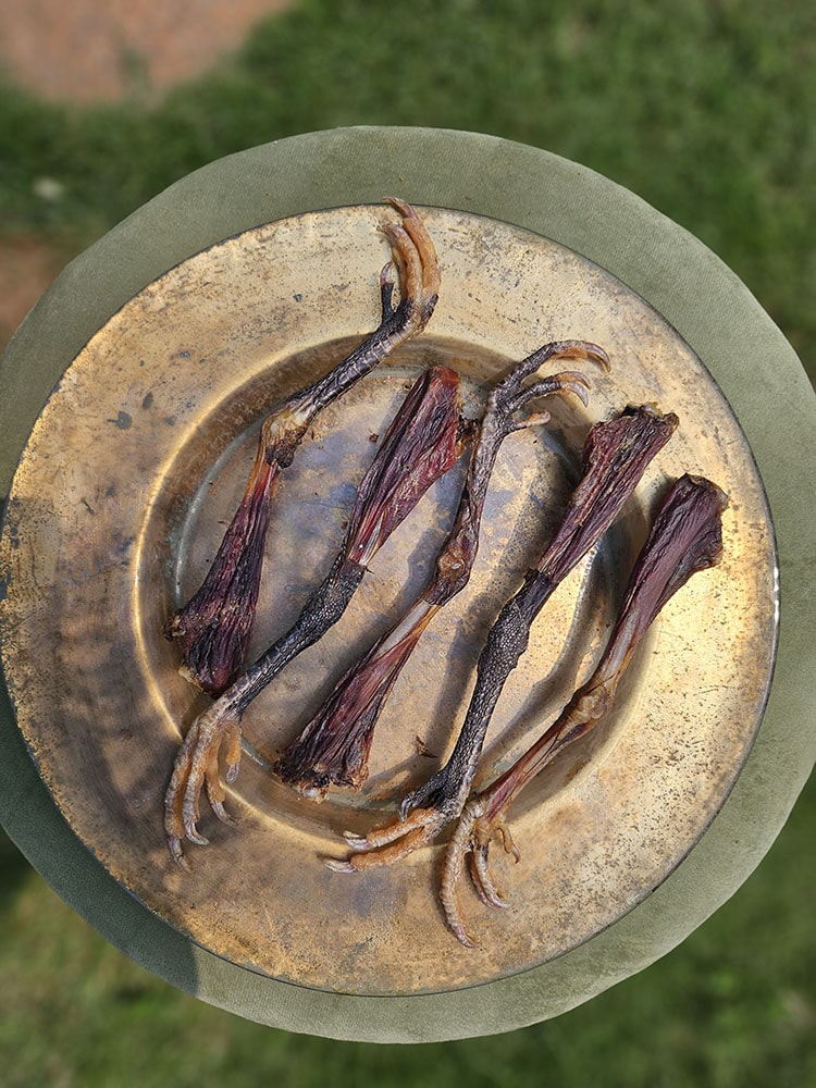 Guinea Fowl Meaty Chews for Dogs and Cats