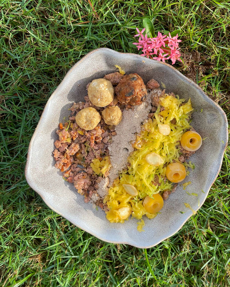 Gut Strong - Soil Based Probiotics & Digestive Enzymes