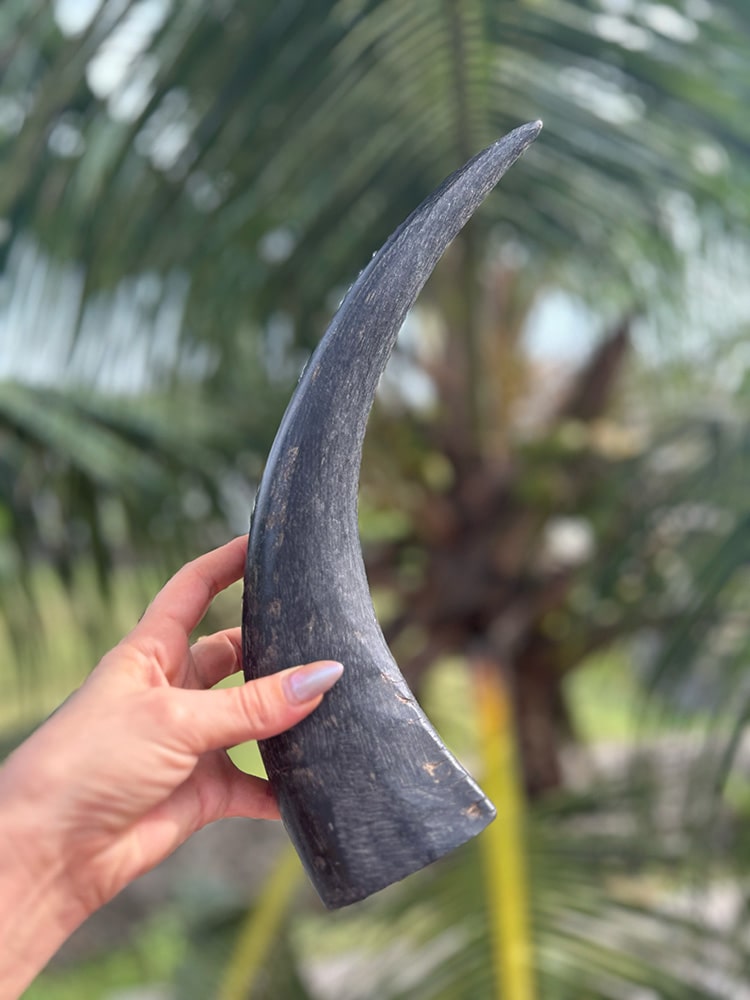Horn Chew - natural & reusable Toppl / Kong alternative