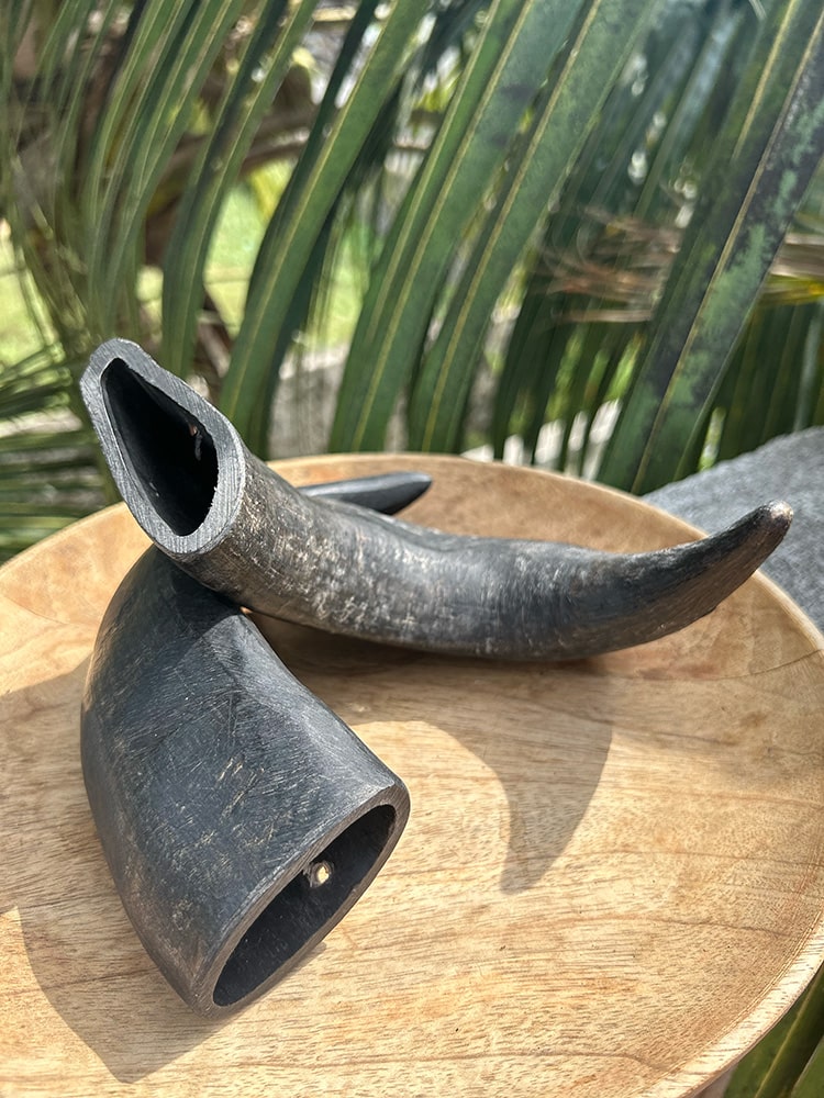 Horn Chew - natural & reusable Toppl / Kong alternative