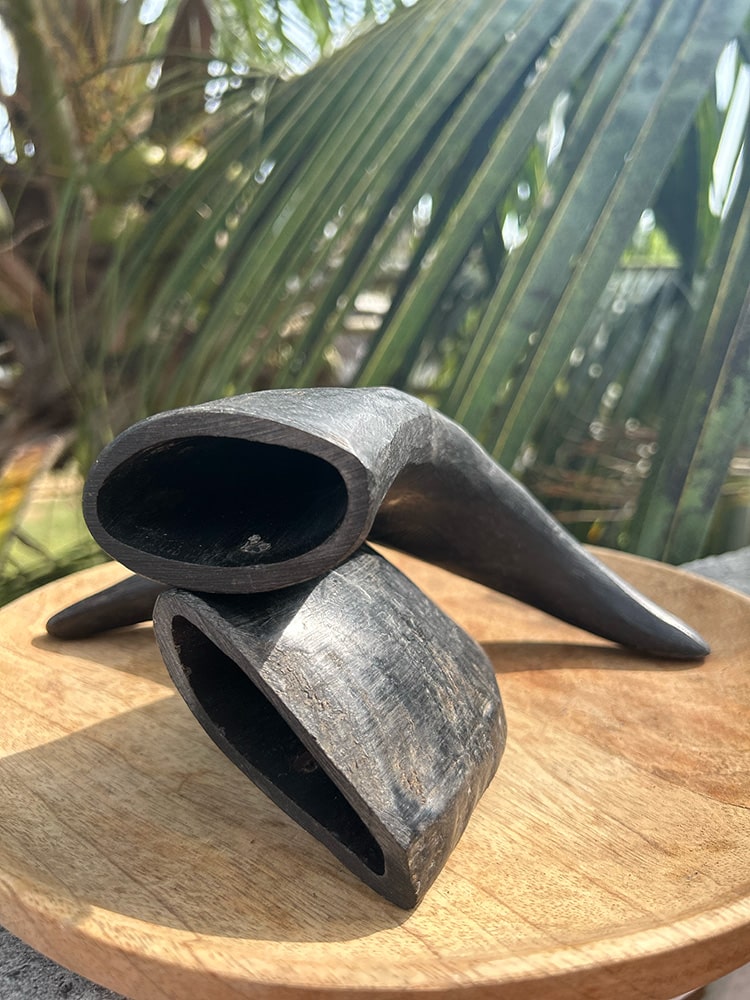 Horn Chew - natural & reusable Toppl / Kong alternative